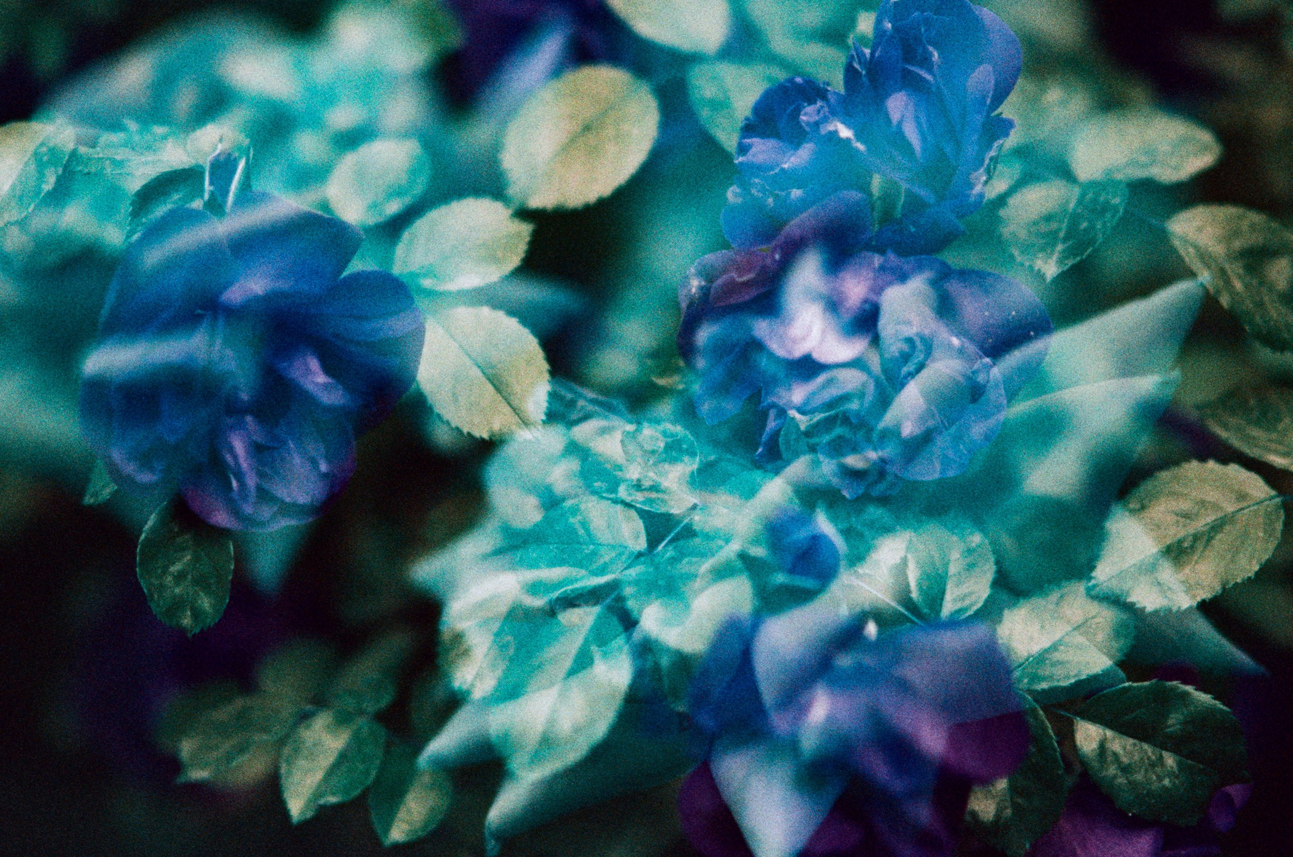 Pain shopping // ukraine, crimea VII. EVER EXPOSED