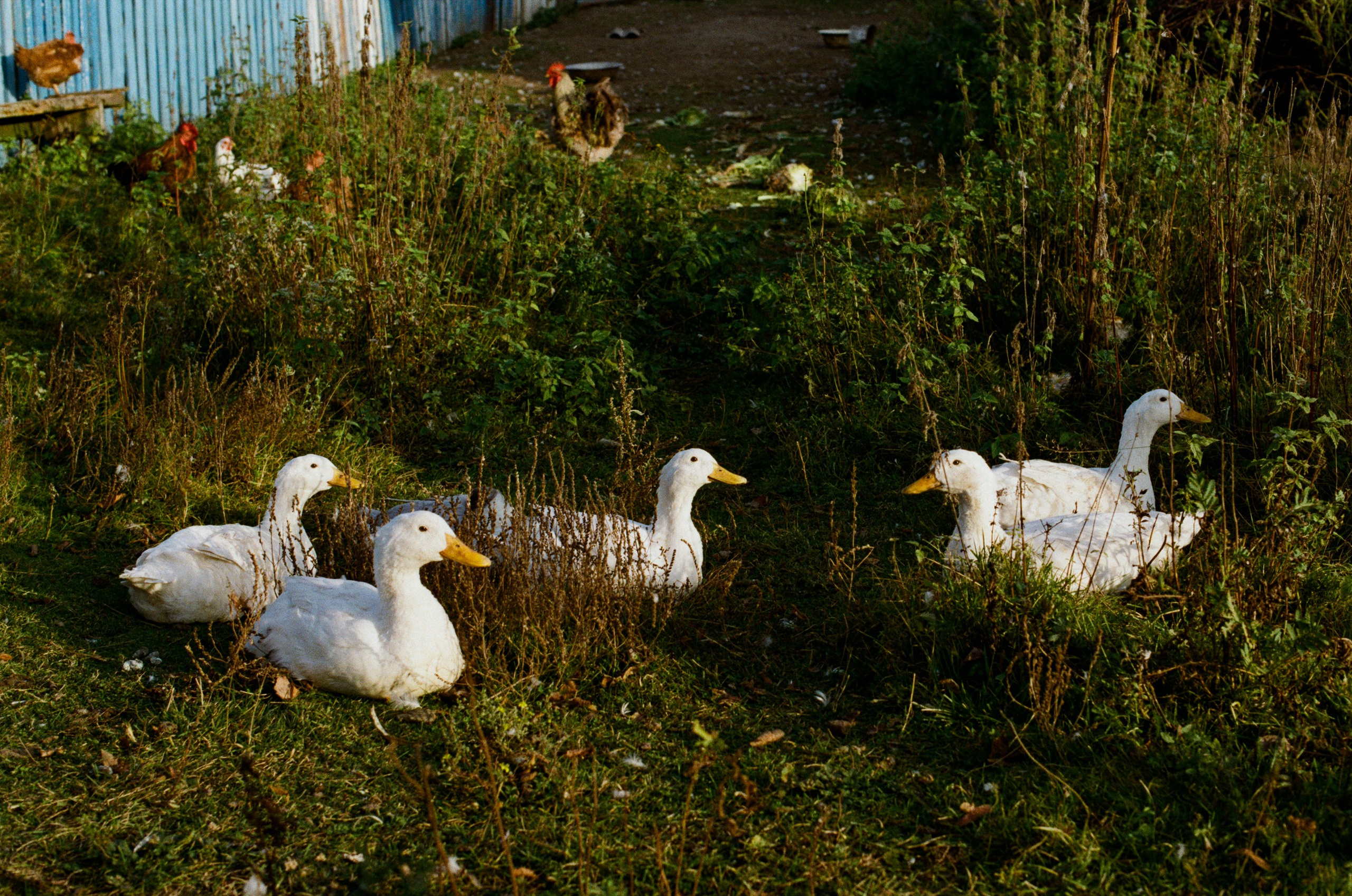 My name is dust // kostroma. EVER EXPOSED