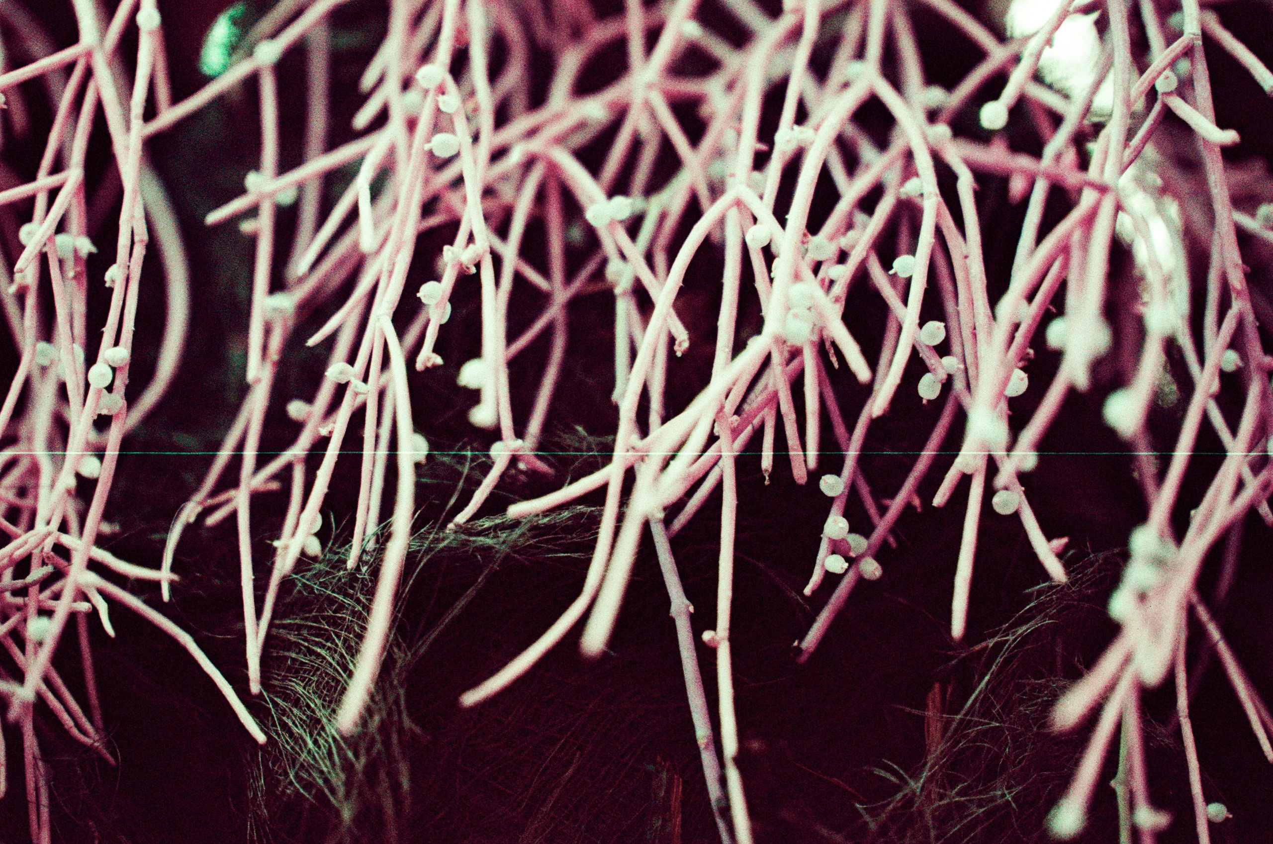 Pain shopping // ukraine, crimea II. EVER EXPOSED