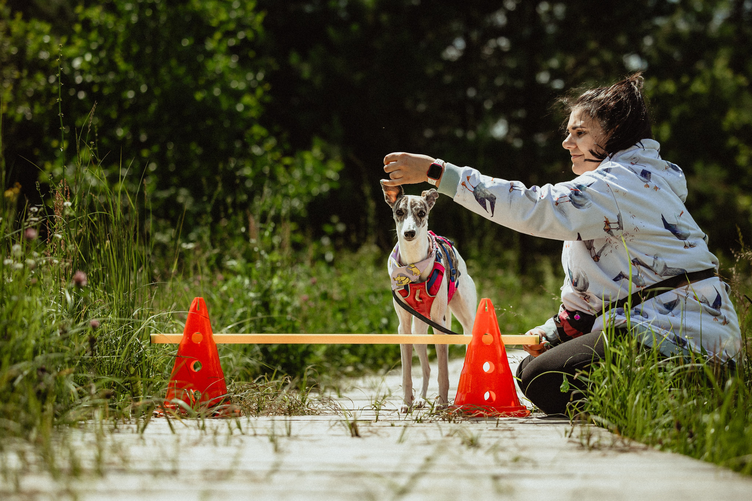 Выездной дог-тренинг от школы «Шерсть имею»