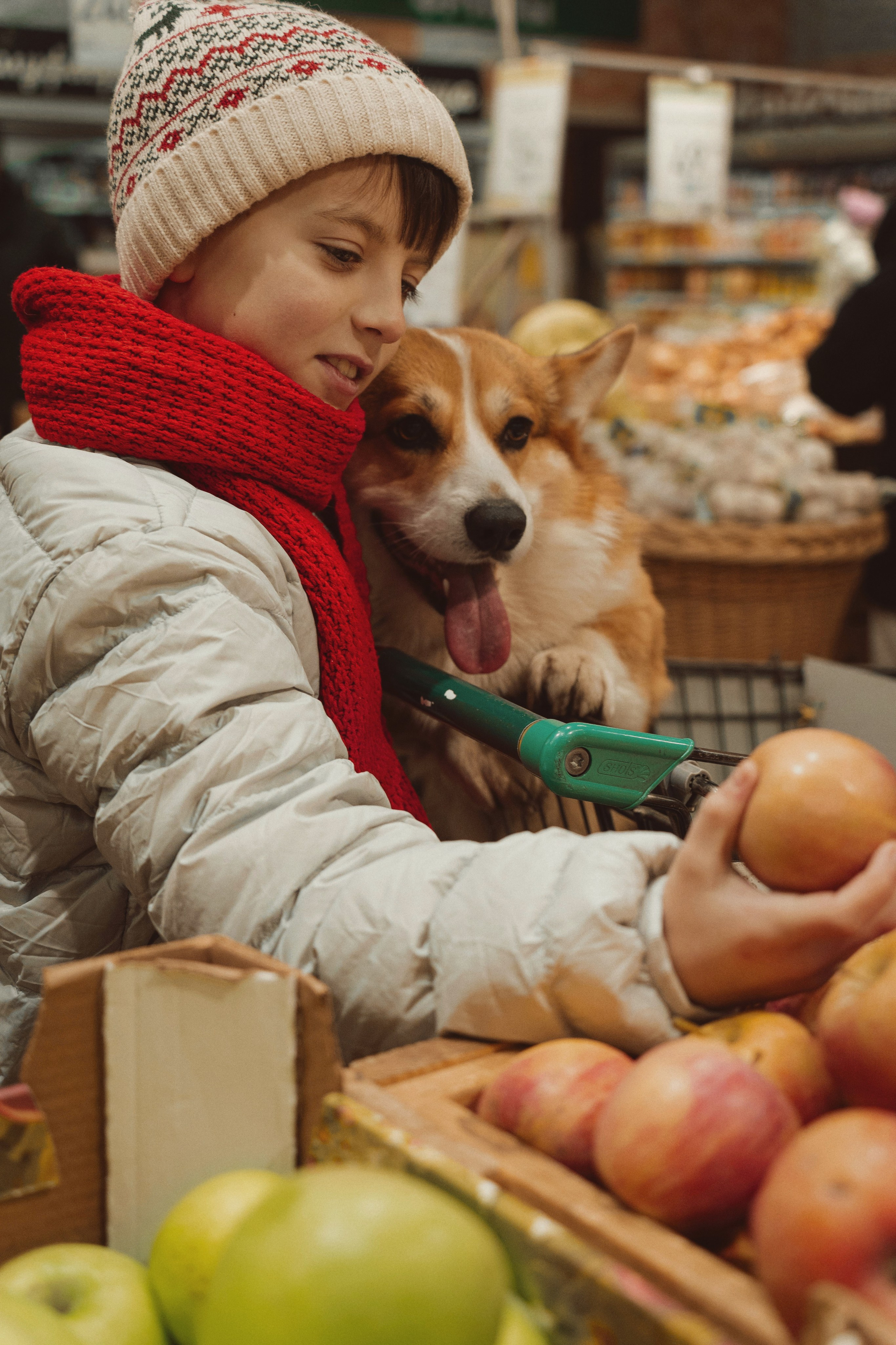 Один дома. Семейный фотограф анималист г. Находка