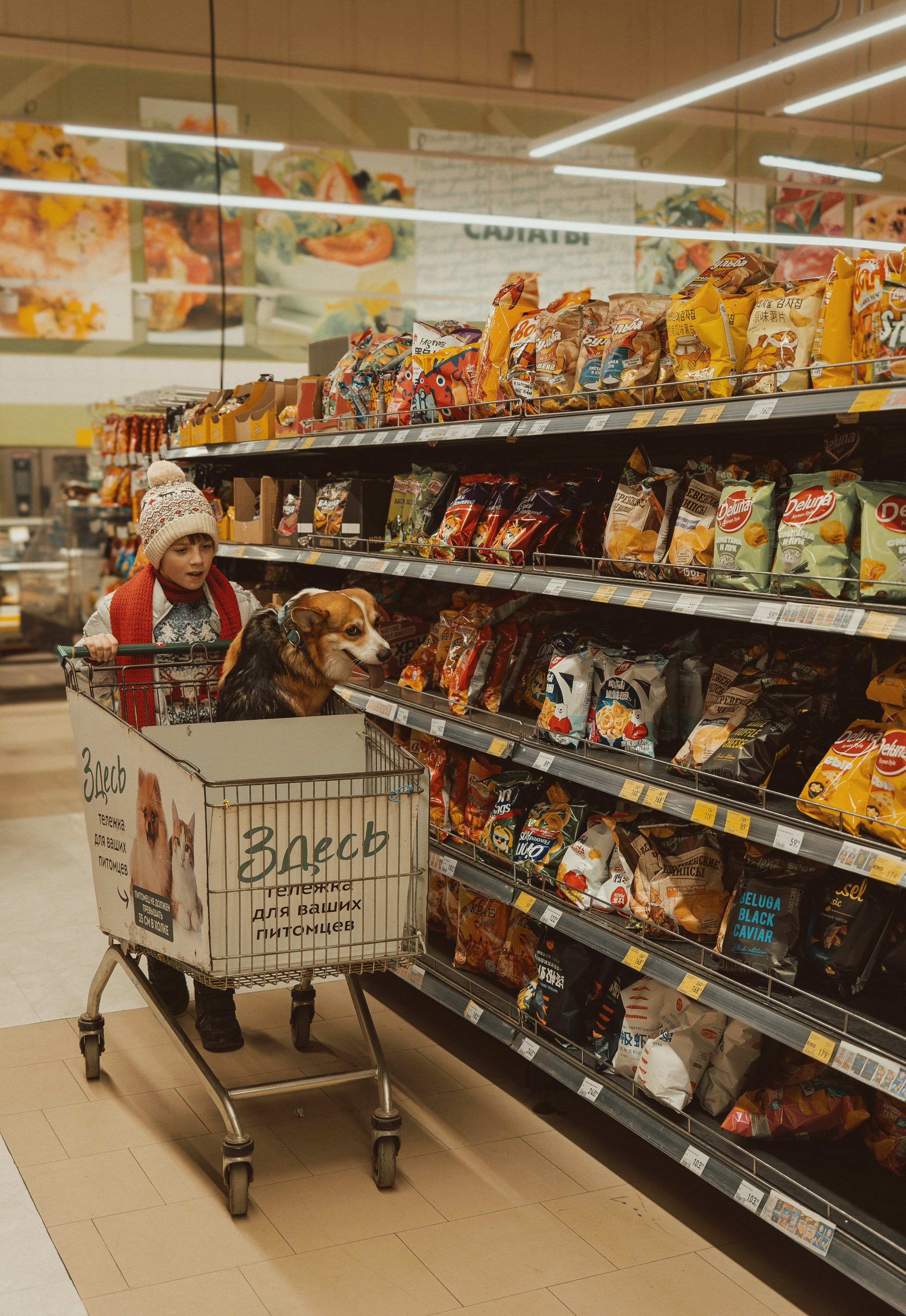 Один дома. Семейный фотограф анималист г. Находка