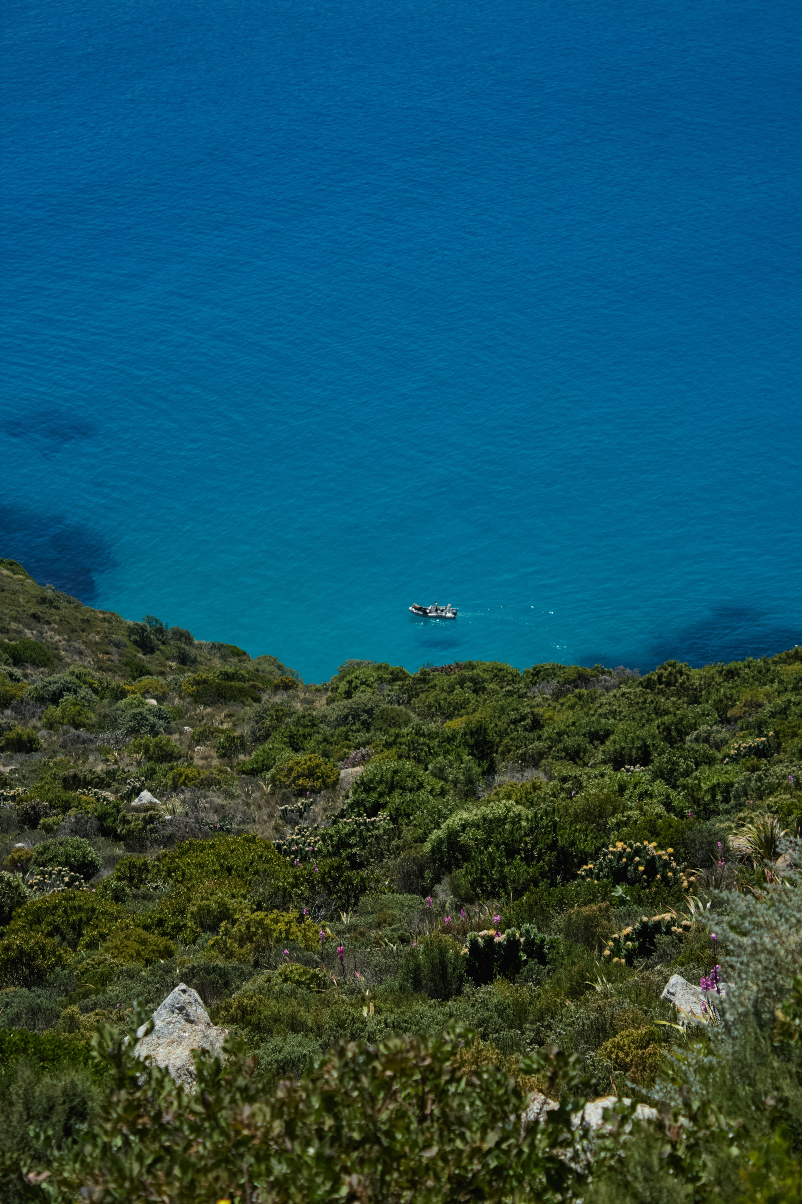 ЮАР. Профессиональный Фотограф во Владимире, в Москве и в Суздале — Полина Романычева