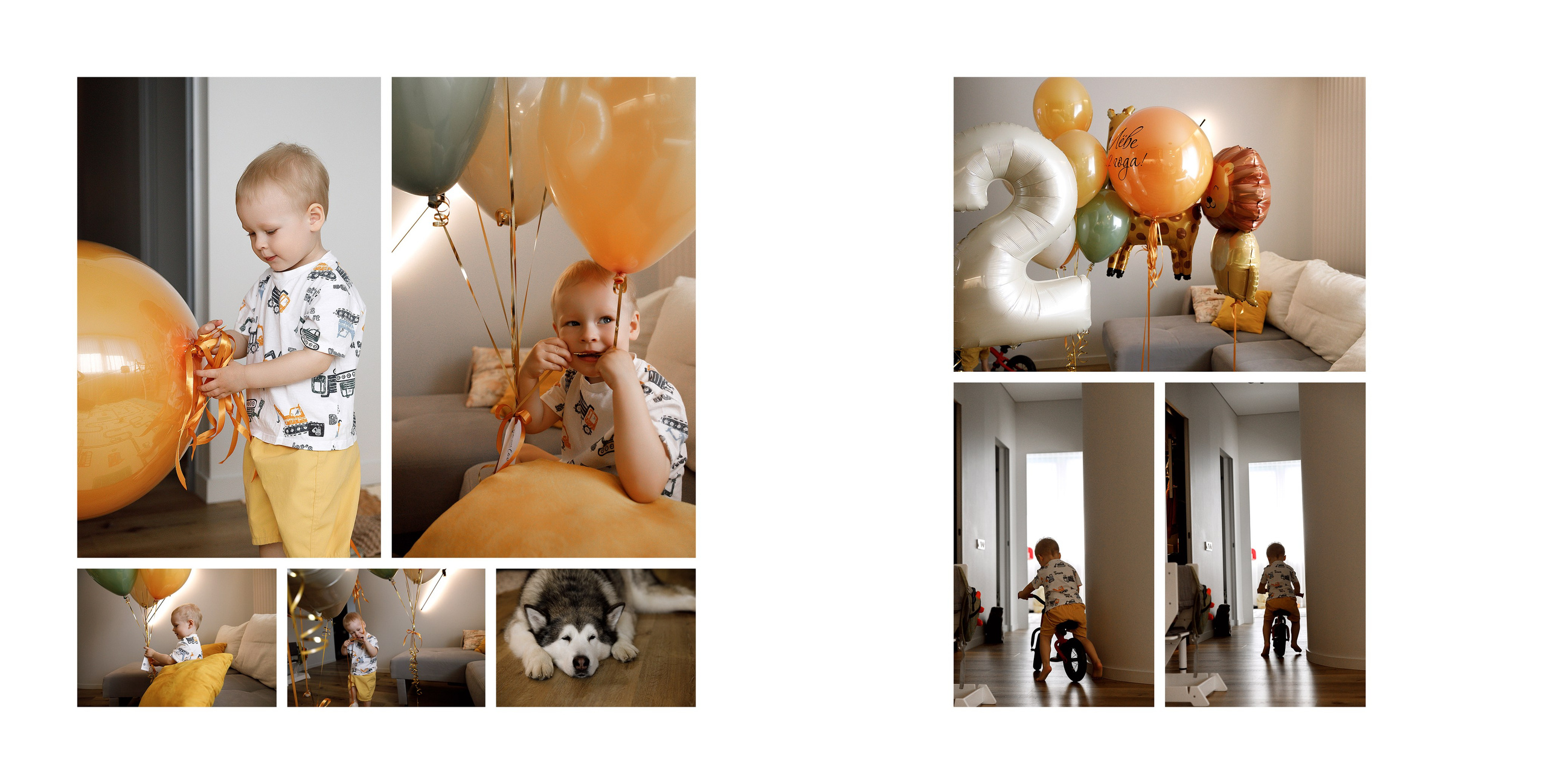 Лев 2 годика. Свадебный и семейный фотограф  во Владивостоке Ольга Украинец