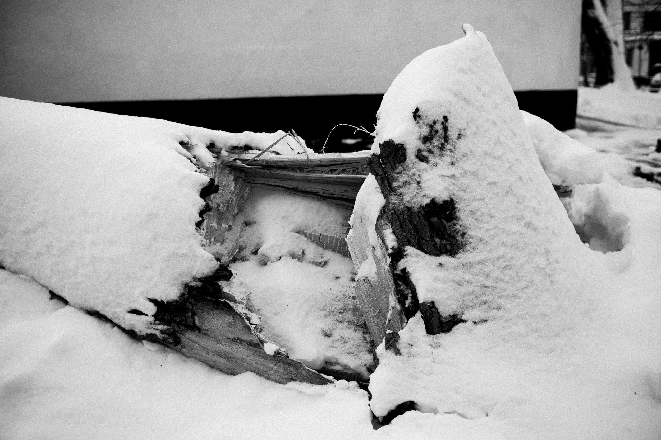 Моменты. Photographer Pavel Romashchenko