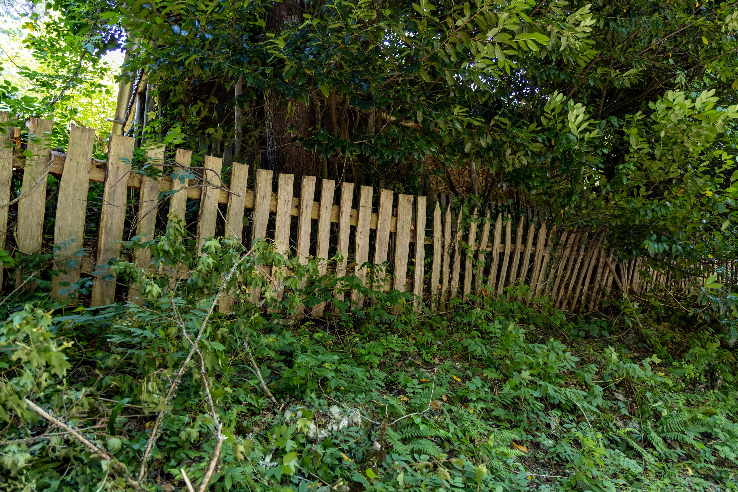 Сочи. Солох Аул. Репортажный, семейный и студийный фотограф в Москве Демин Алексей