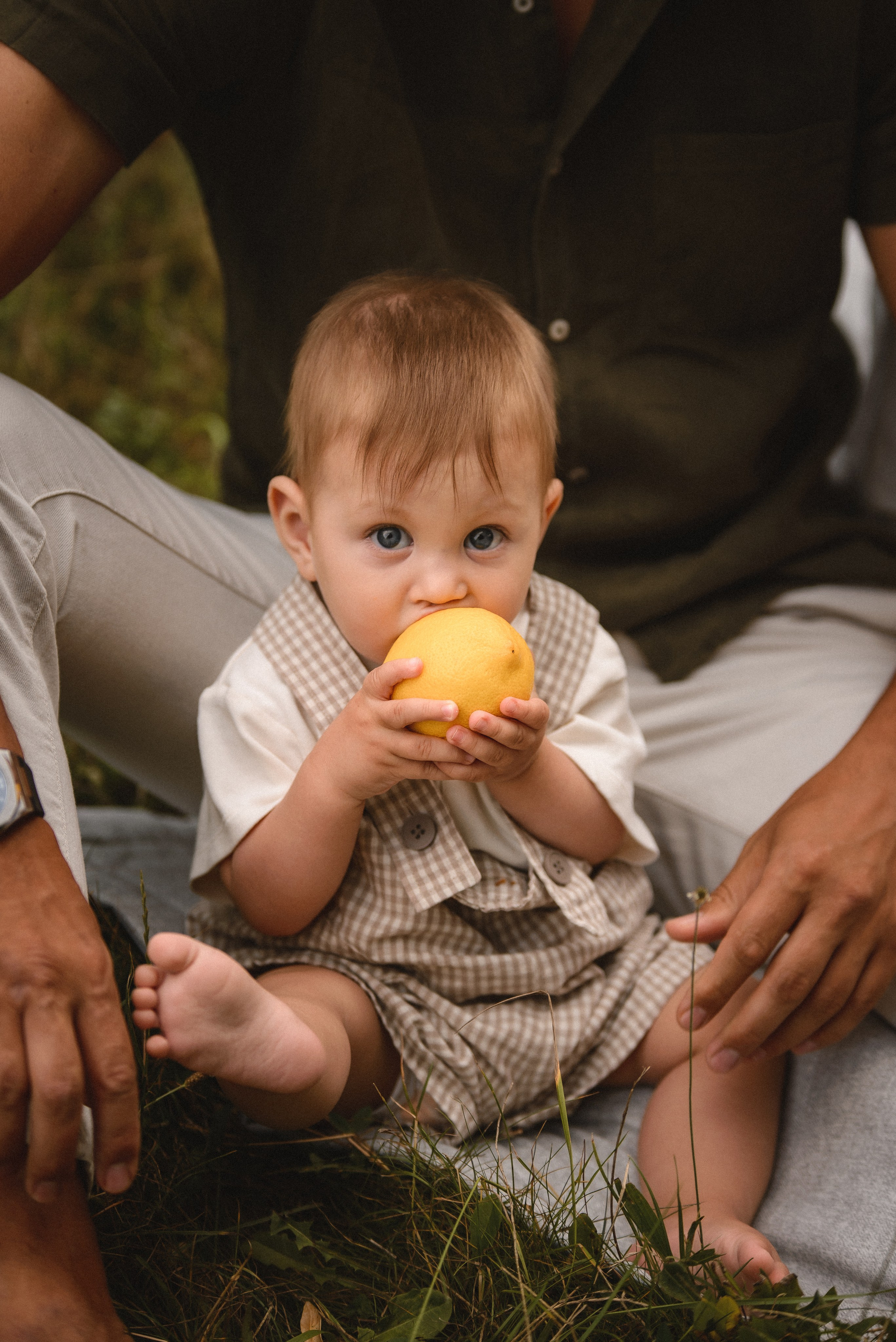 Пикник одним летним вечером. Семейный фотограф в г. Ставрополь, Сорокина Мария