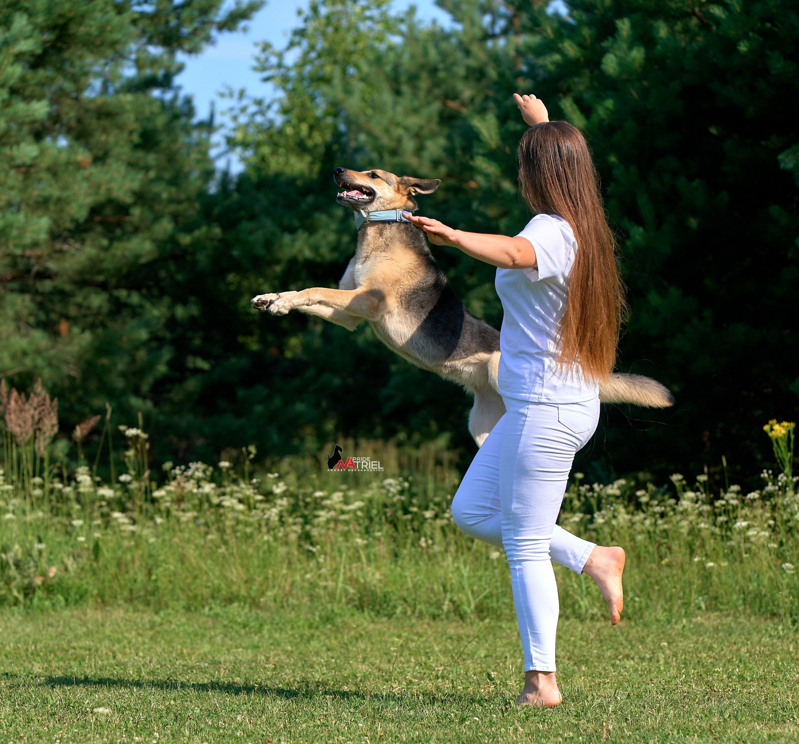 Обидиенс и танцы с собаками — галерея NATRIEL