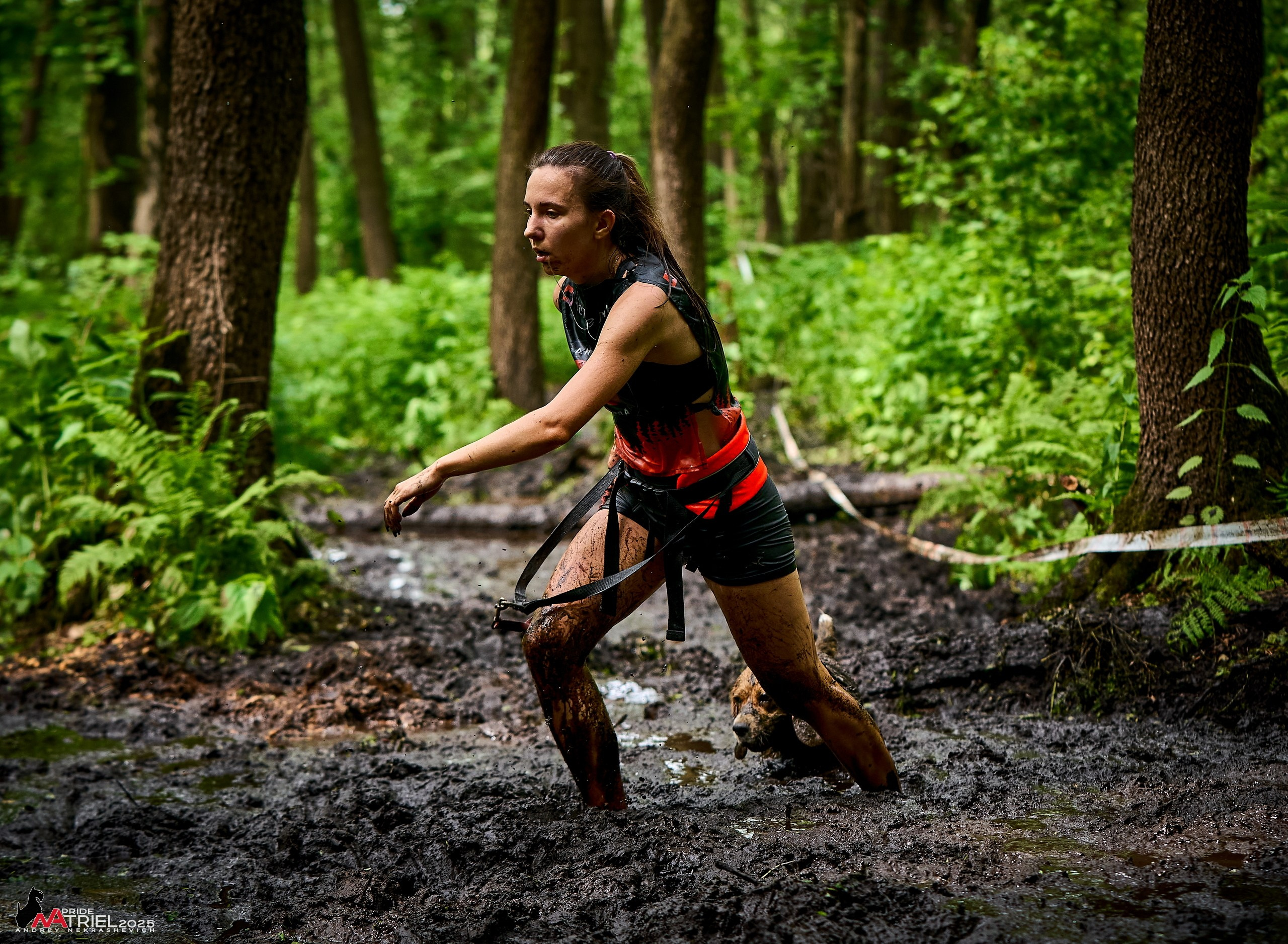 Russian Extreme Dog Trail — 2025