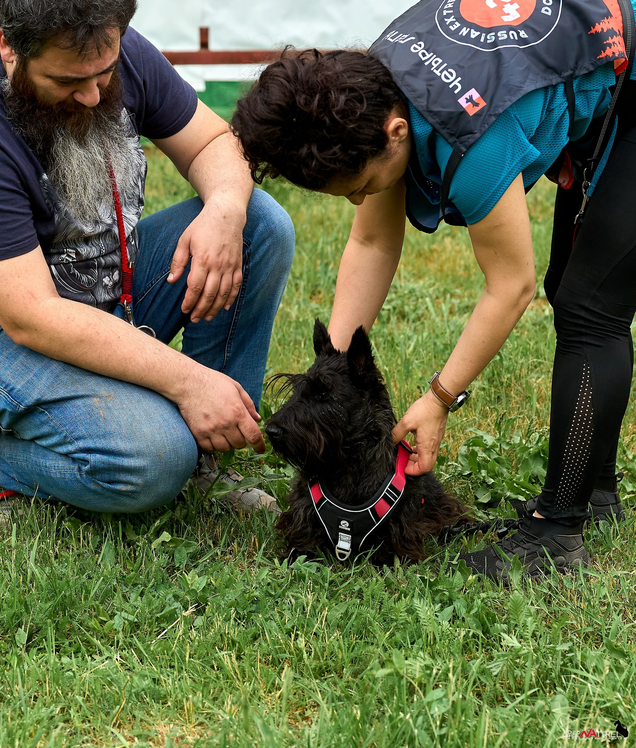 Russian Extreme Dog Trail — 2025
