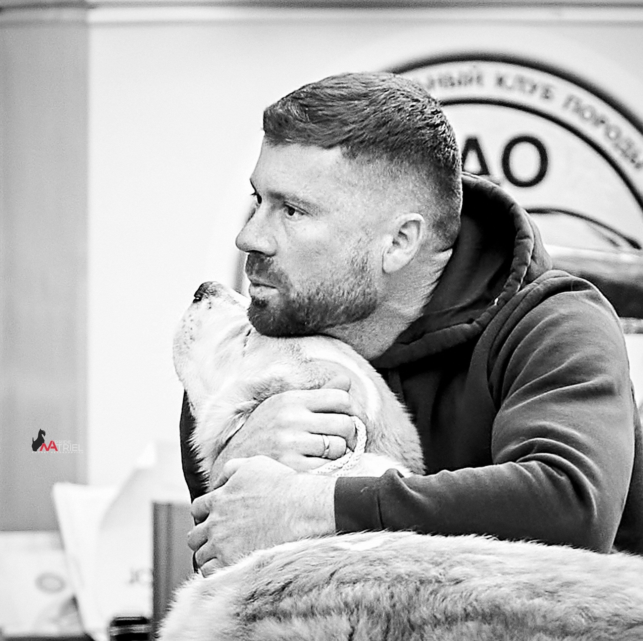 Собаки и Люди — галерея NATRIEL