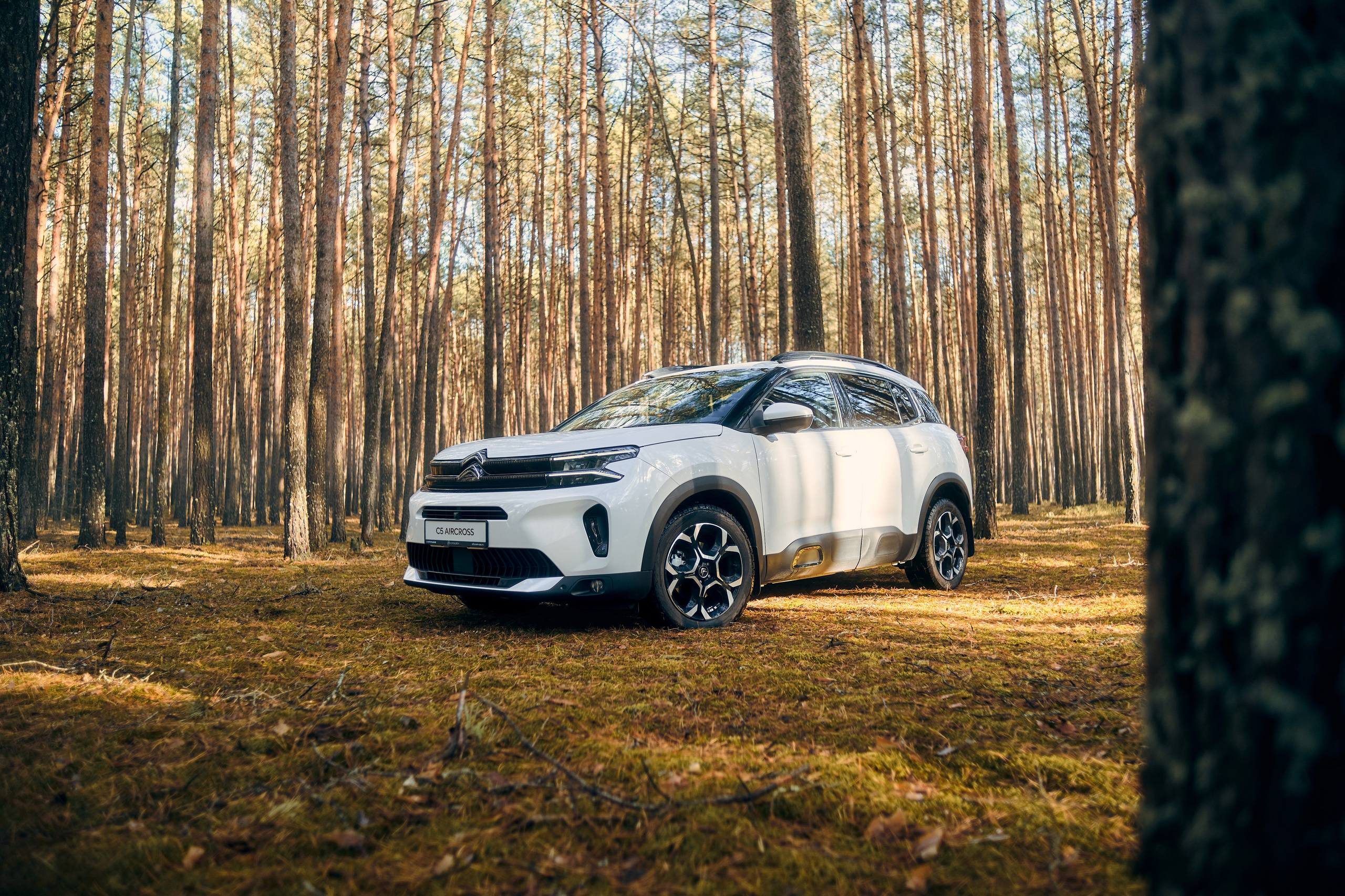 Фотографии Citroen C5 Aircross