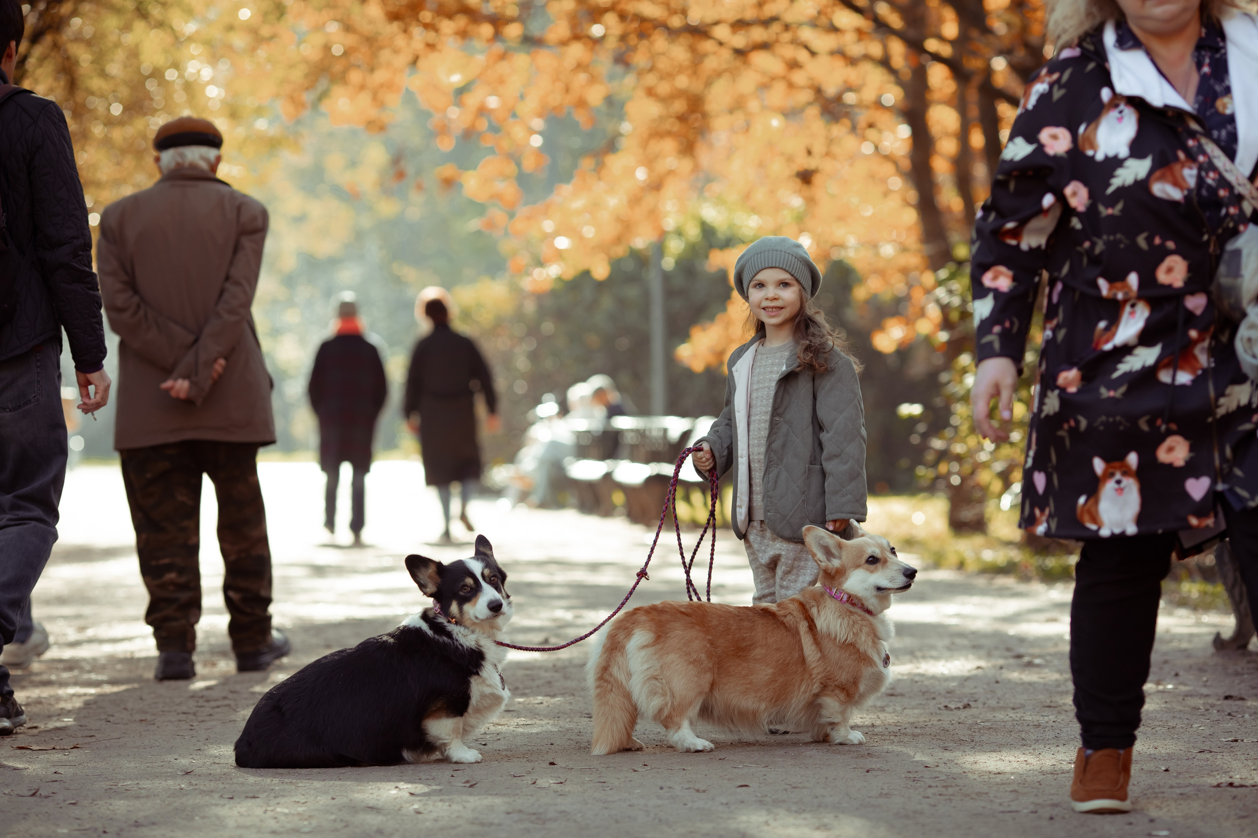 Эва с корги. Семейный и детский фотограф в Москве Дорогова Екатерина
