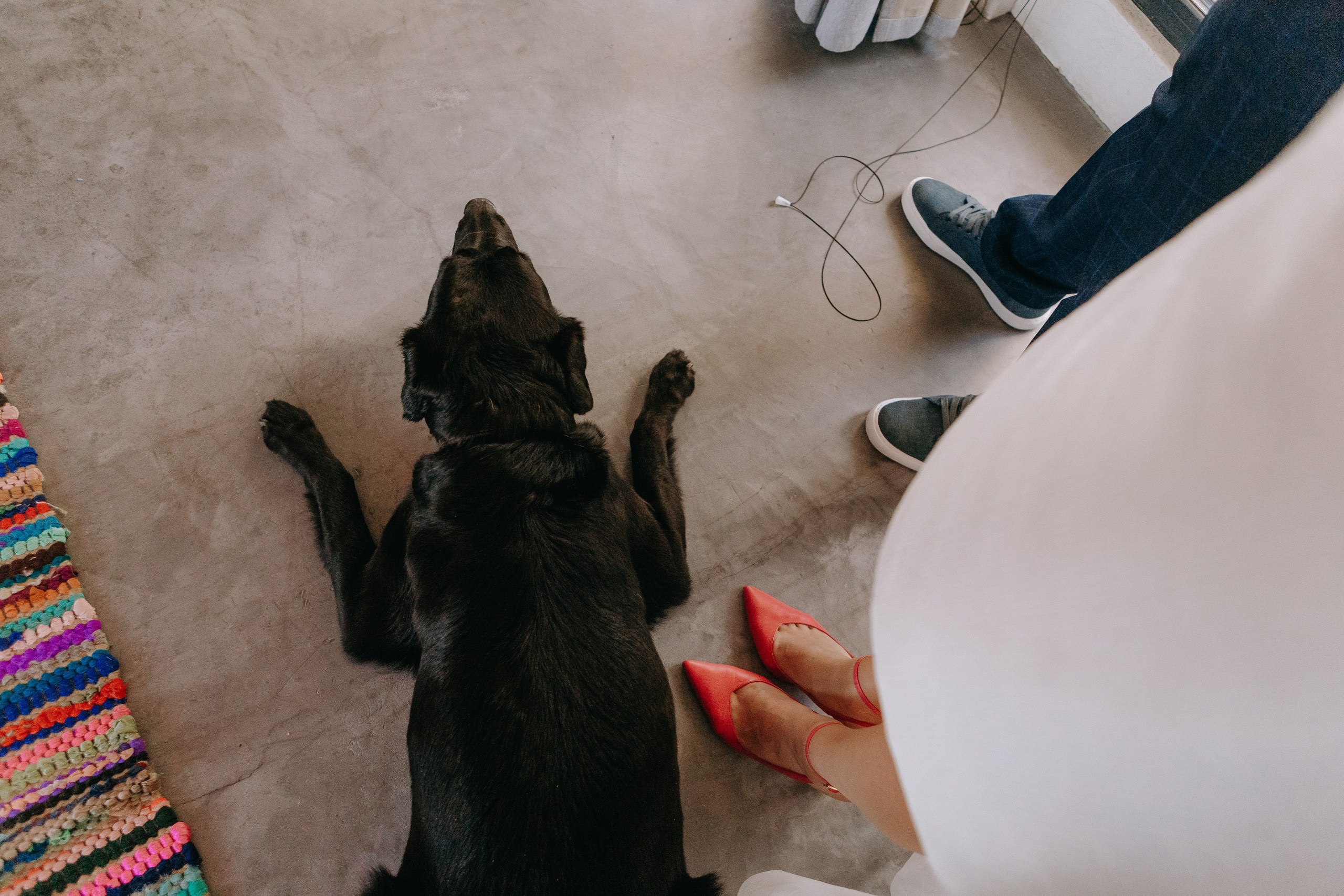 Crazy in love. Свадебный и семейный фотограф Арина Кулёва