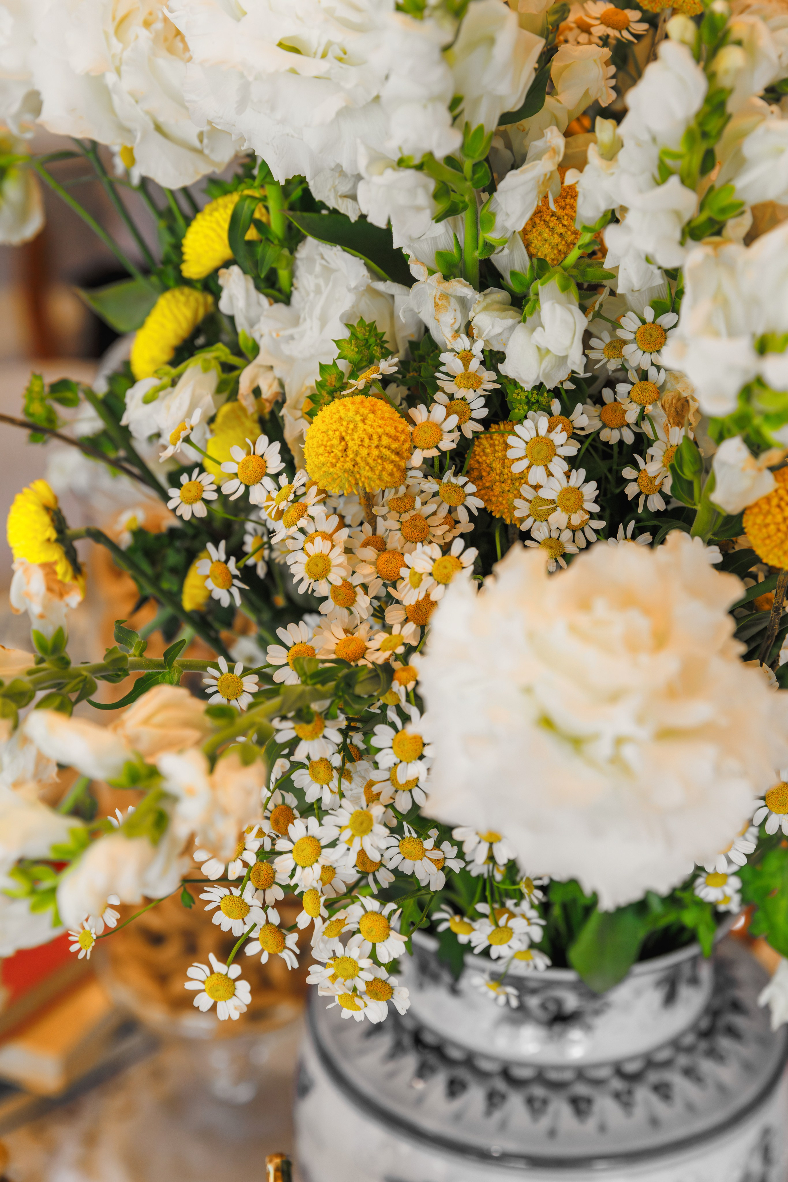 Огородники. Репортажный фотограф в Санкт-Петербурге Жолудев Владислав