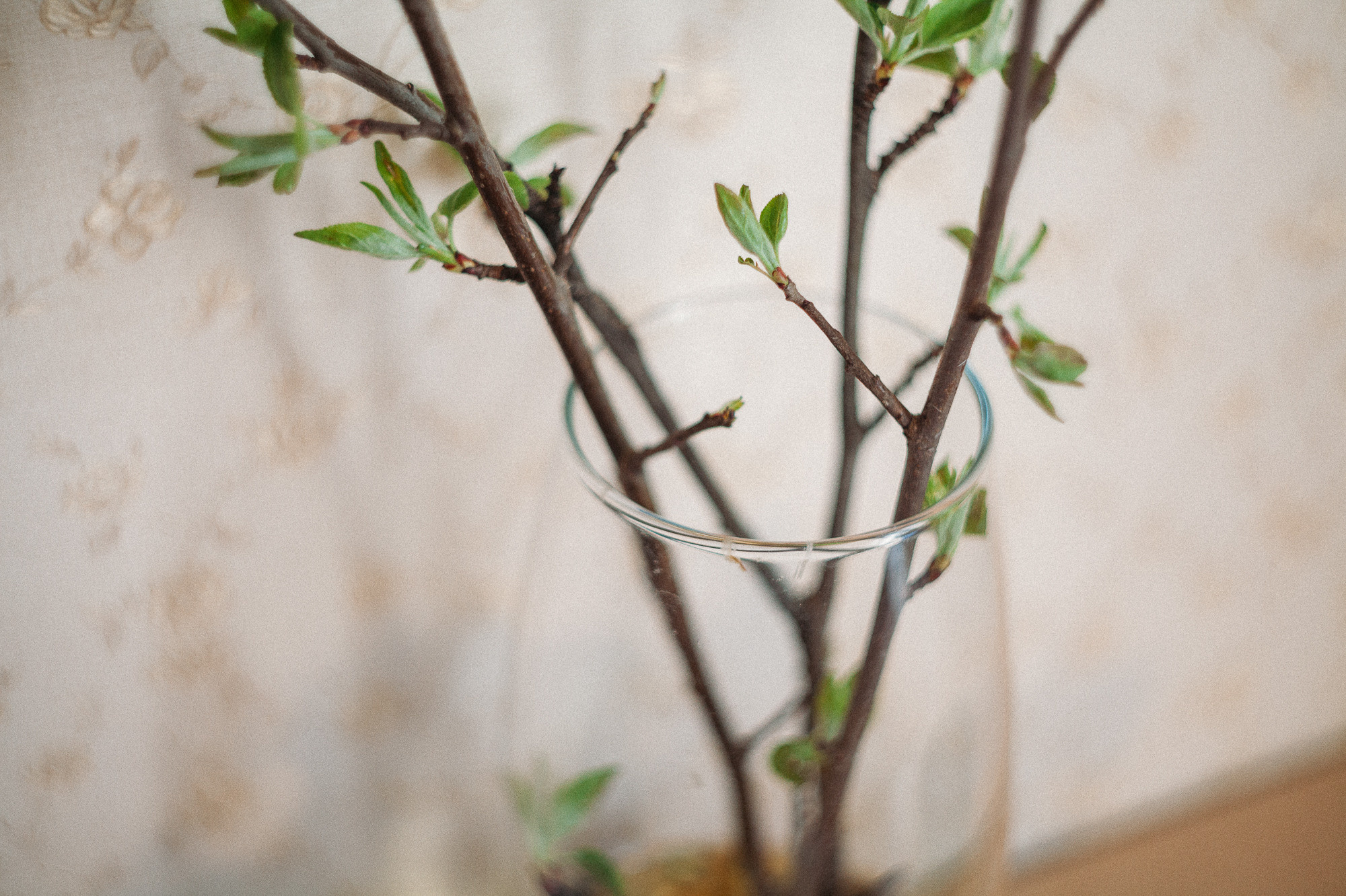 История о первой ложке. Семейный и свадебный фотограф в Москве Жнякина Юлия