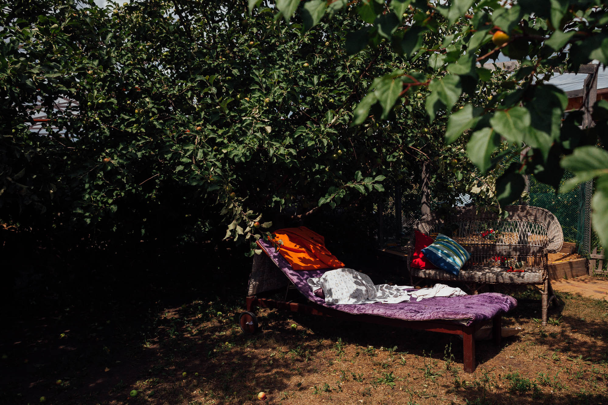 Обед на свежем воздухе. Семейный и свадебный фотограф в Москве Жнякина Юлия