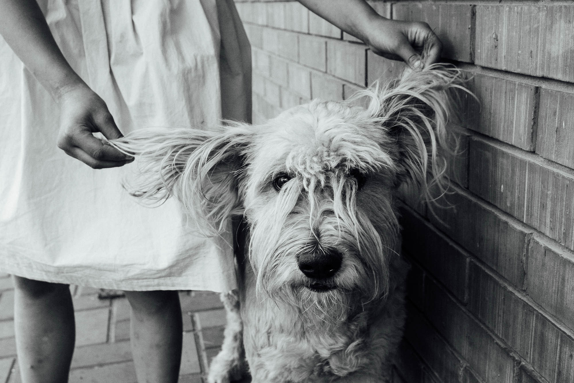 Обед на свежем воздухе. Семейный и свадебный фотограф в Москве Жнякина Юлия