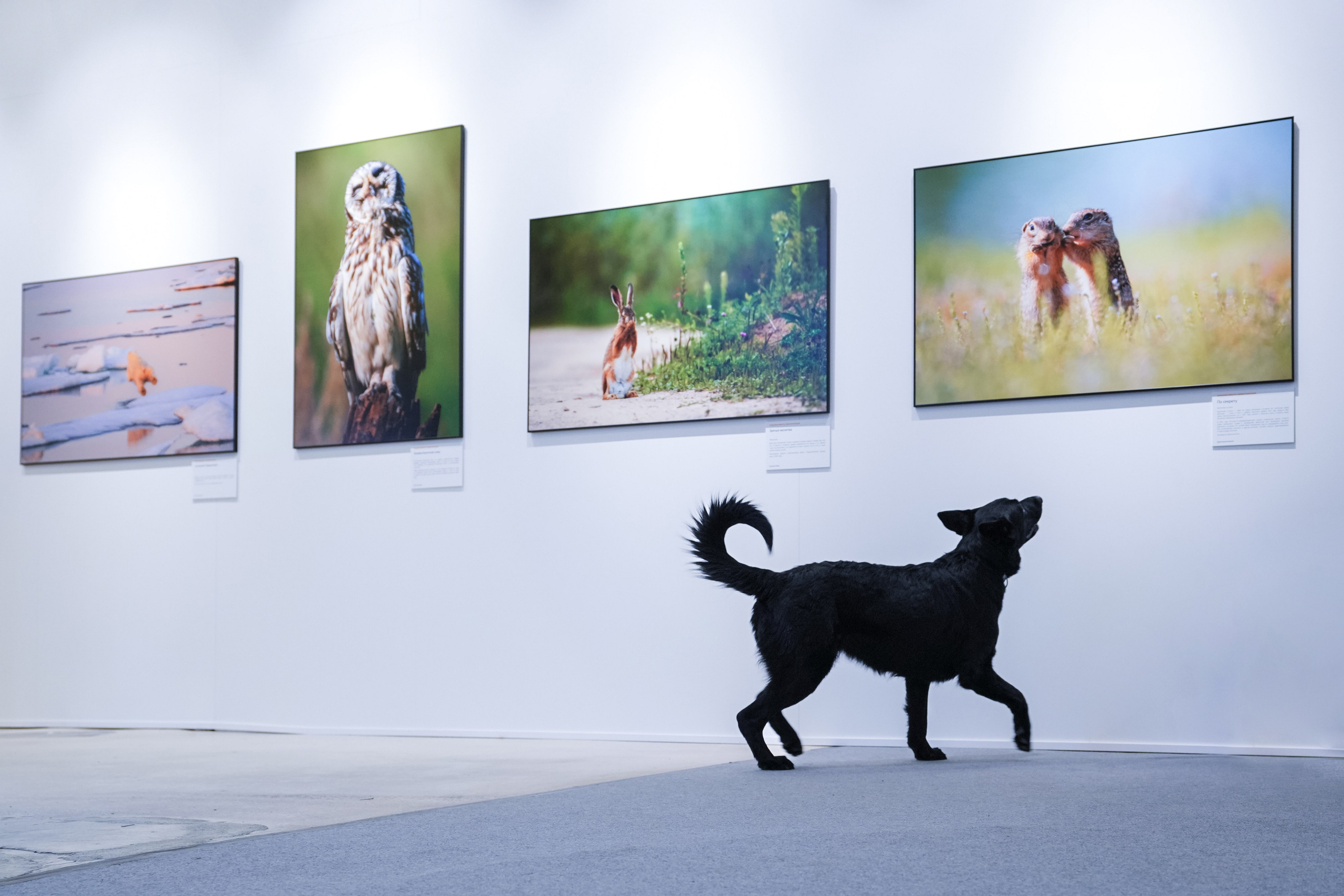 Репортажные съёмки. Фотограф Анна Селина