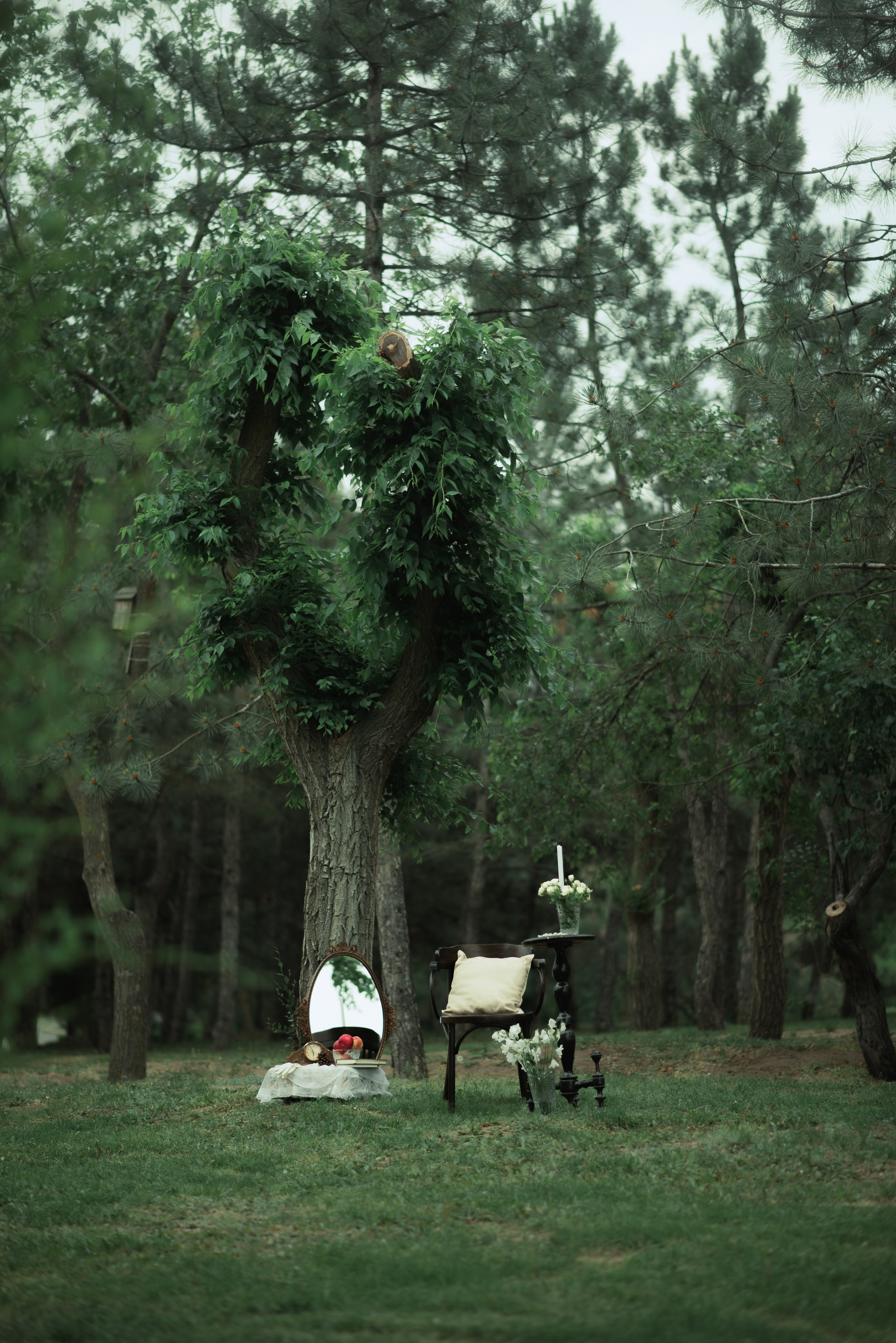 Сказочная аристократия. Главная