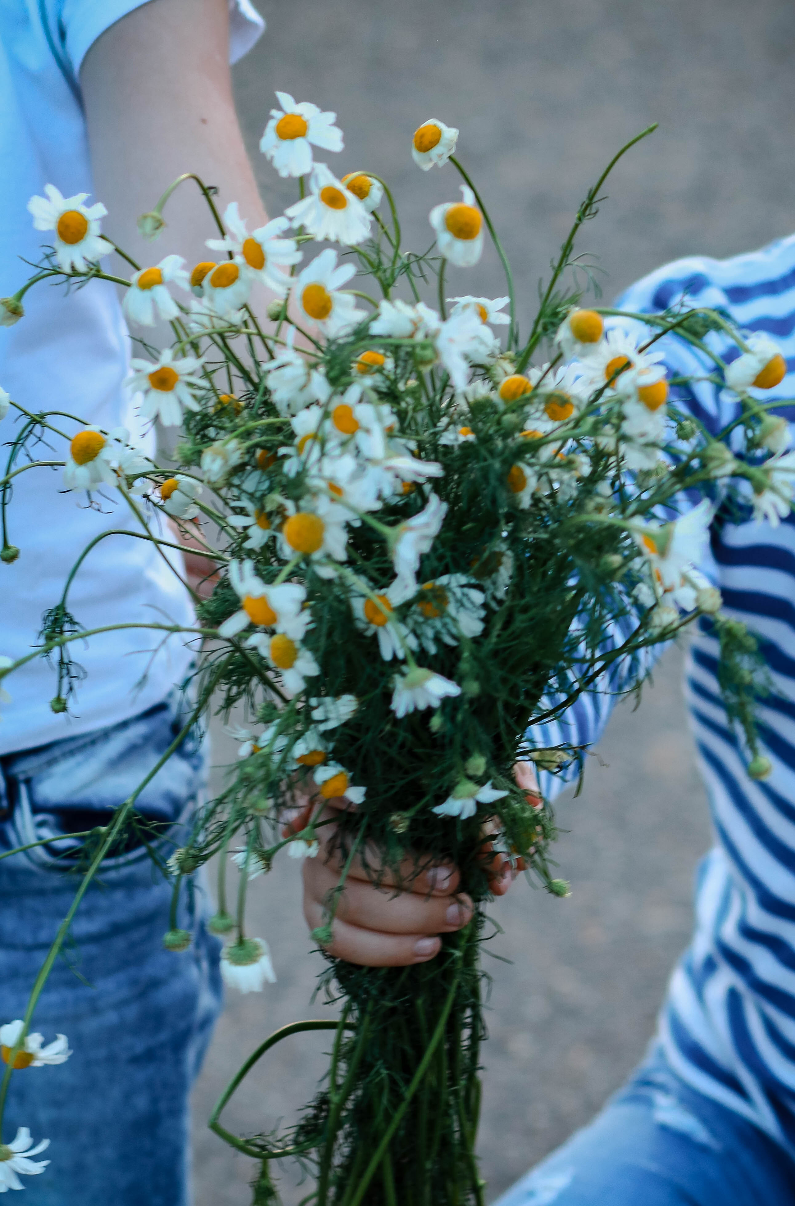 С днём ВДВ. Фотограф Григорьева Ольга. Портретная, семейная съёмка, Love Stori, видеосъёмка в городе Чита. Выпускные альбомы, фотокниги