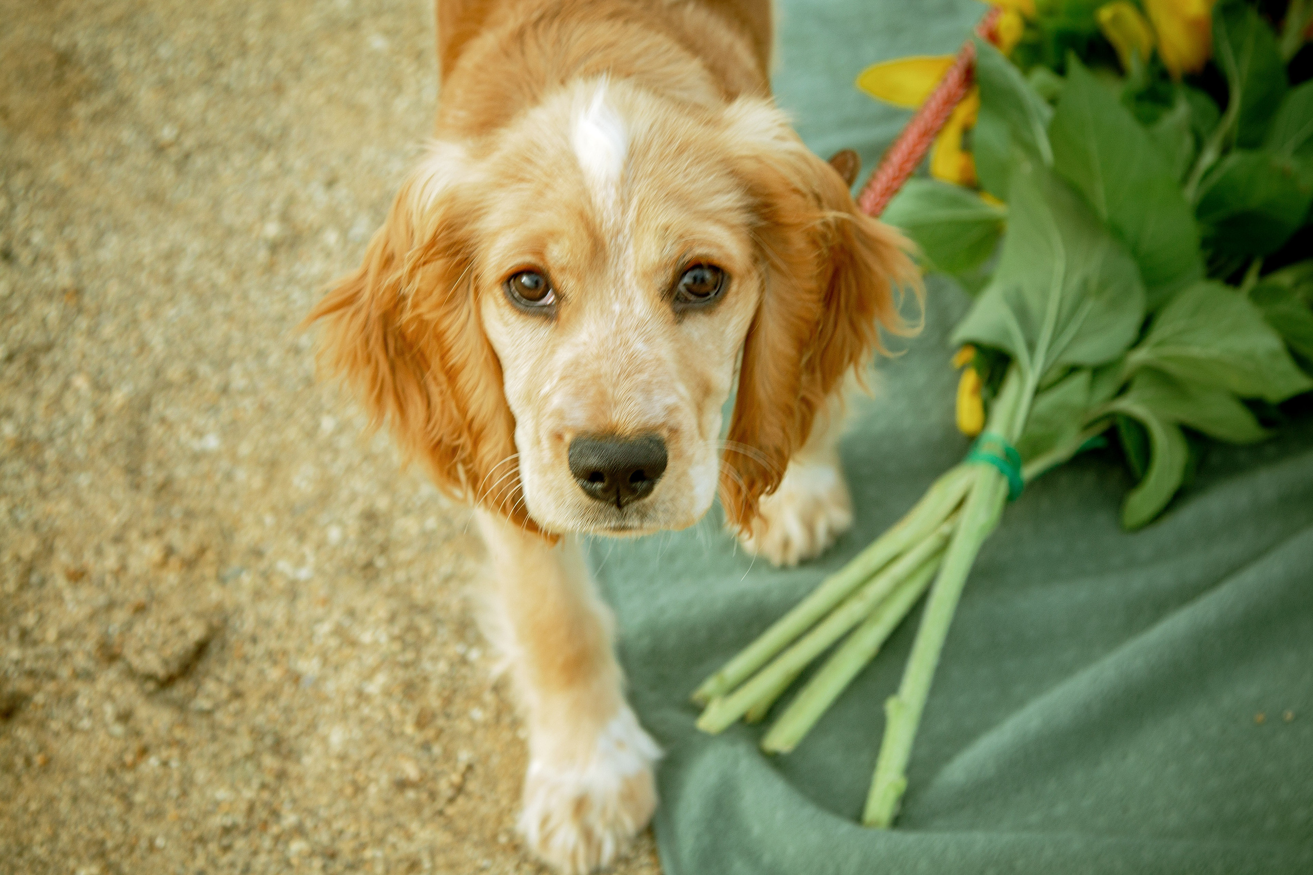 Семейная съёмка. Карьеры. Фотограф Григорьева Ольга. Портретная, семейная съёмка, Love Stori, видеосъёмка в городе Чита. Выпускные альбомы, фотокниги