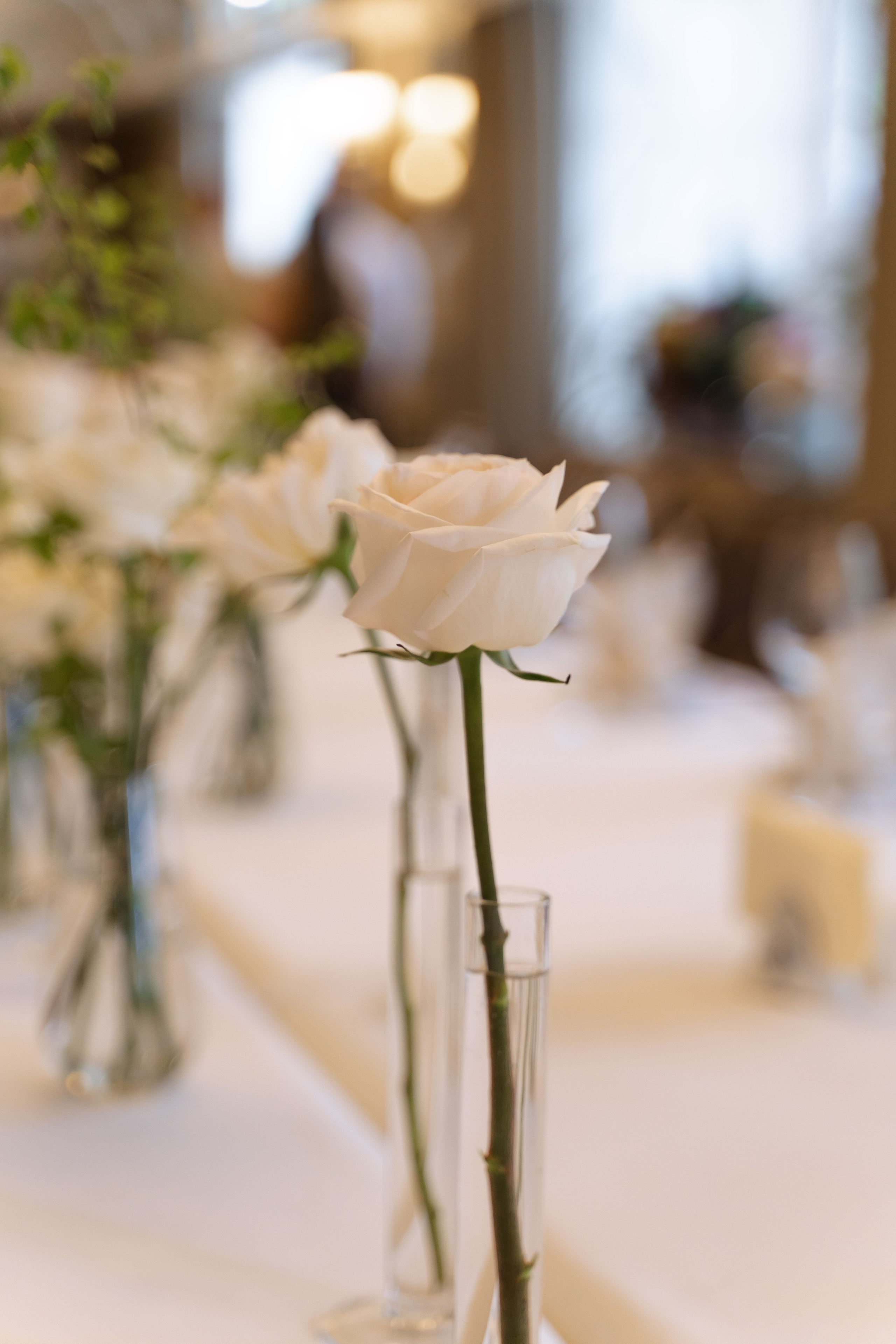 Данил и Евгения. Свадебный фотограф Анастасия Хабарова в Новоуральске и Екатеринбурге