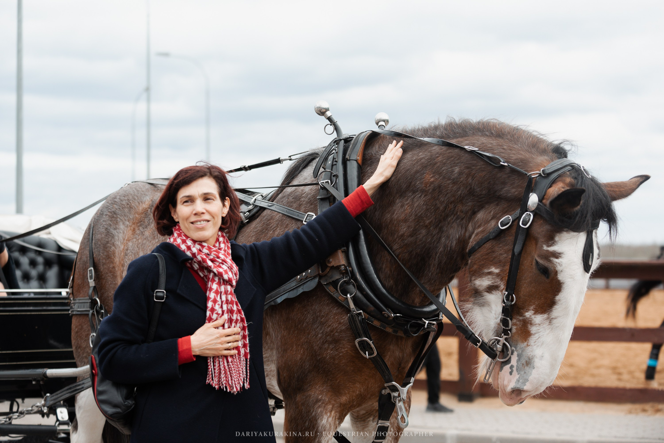 Конное представление «Дыхание Звёзд». Конный фотограф Куракина Дарья • Фотосессии с лошадьми