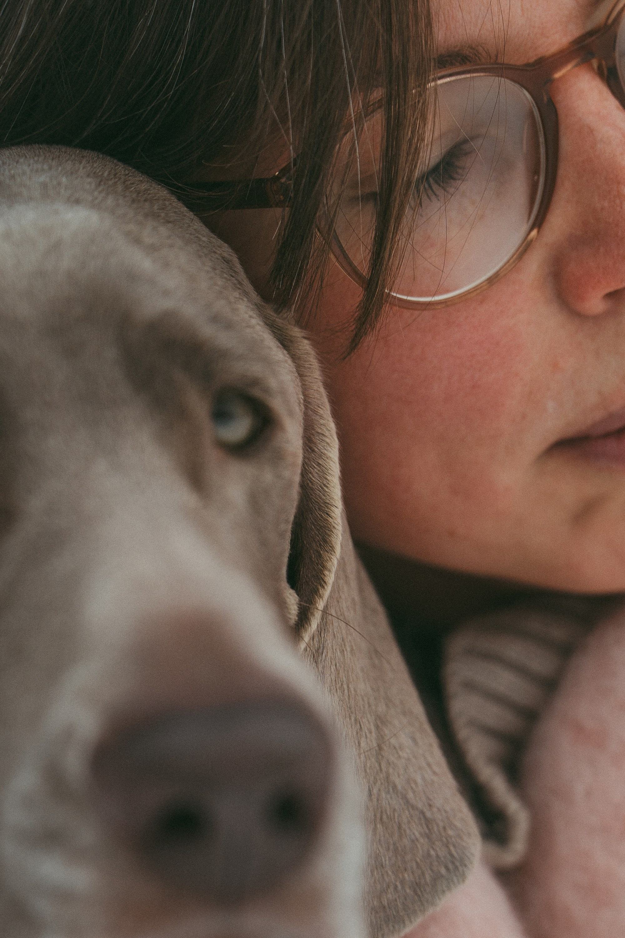 Лена и Фанни. Фотограф анималист в Москве и Санкт-Петербурге Свиридова Анна