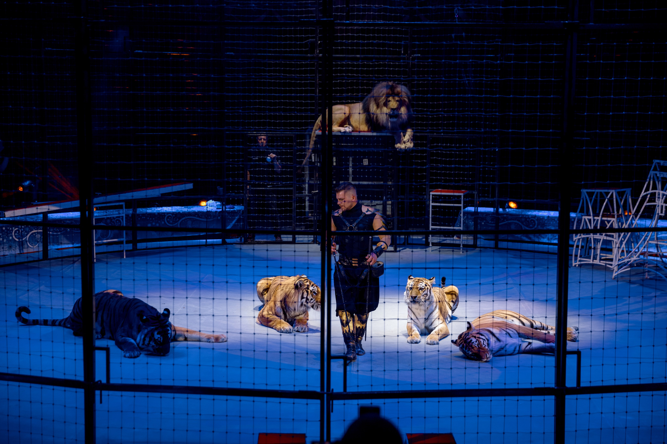 Цирк Moretti в Иркутске. Свадебный фотограф Иркутск, репортажный фотограф Иркутск