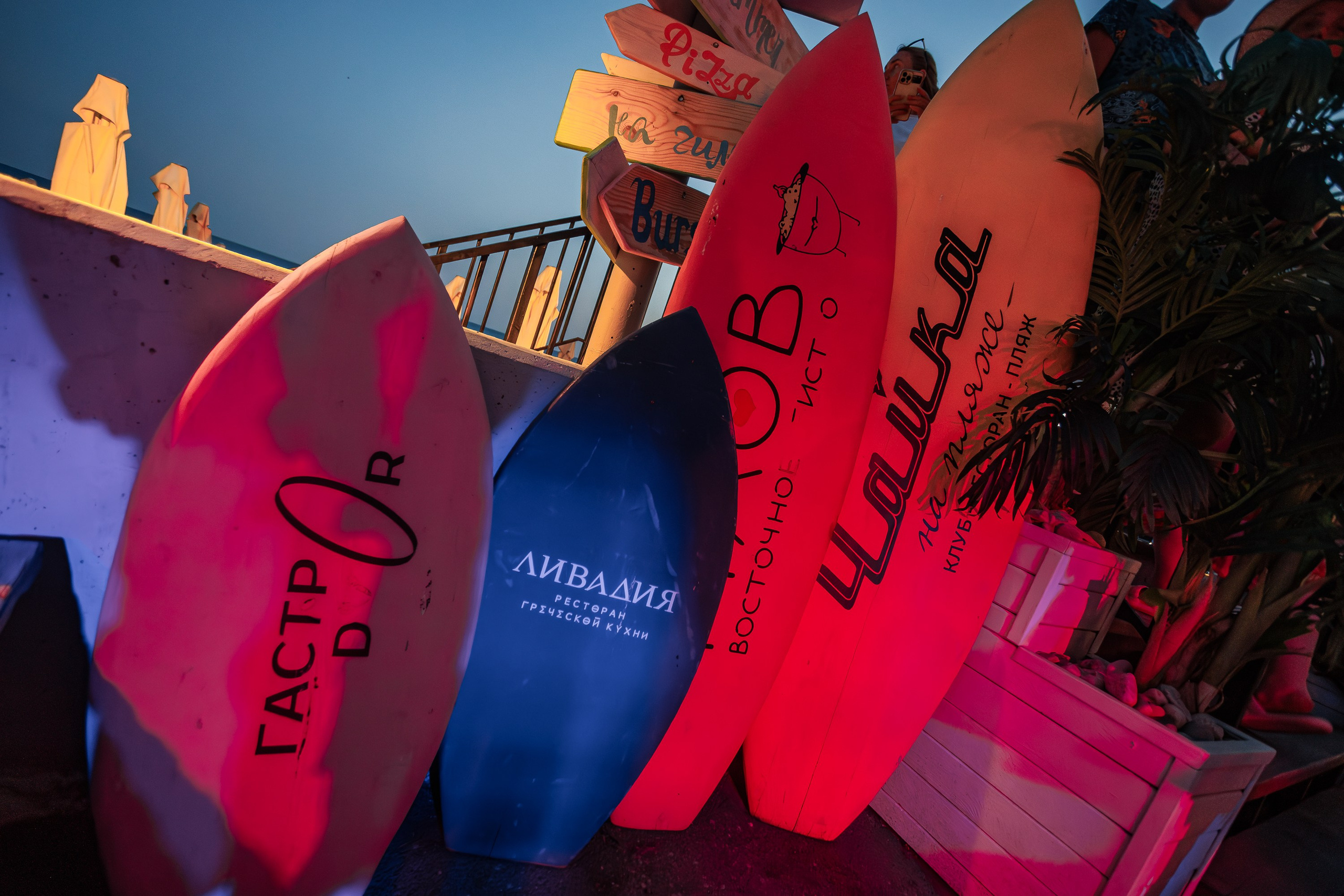 ZIMCERLA BIRTHDAY PARTY — HUNGRY BIRD_Симеиз_Крым_19.07.2025. Аминов Руслан | Фотограф