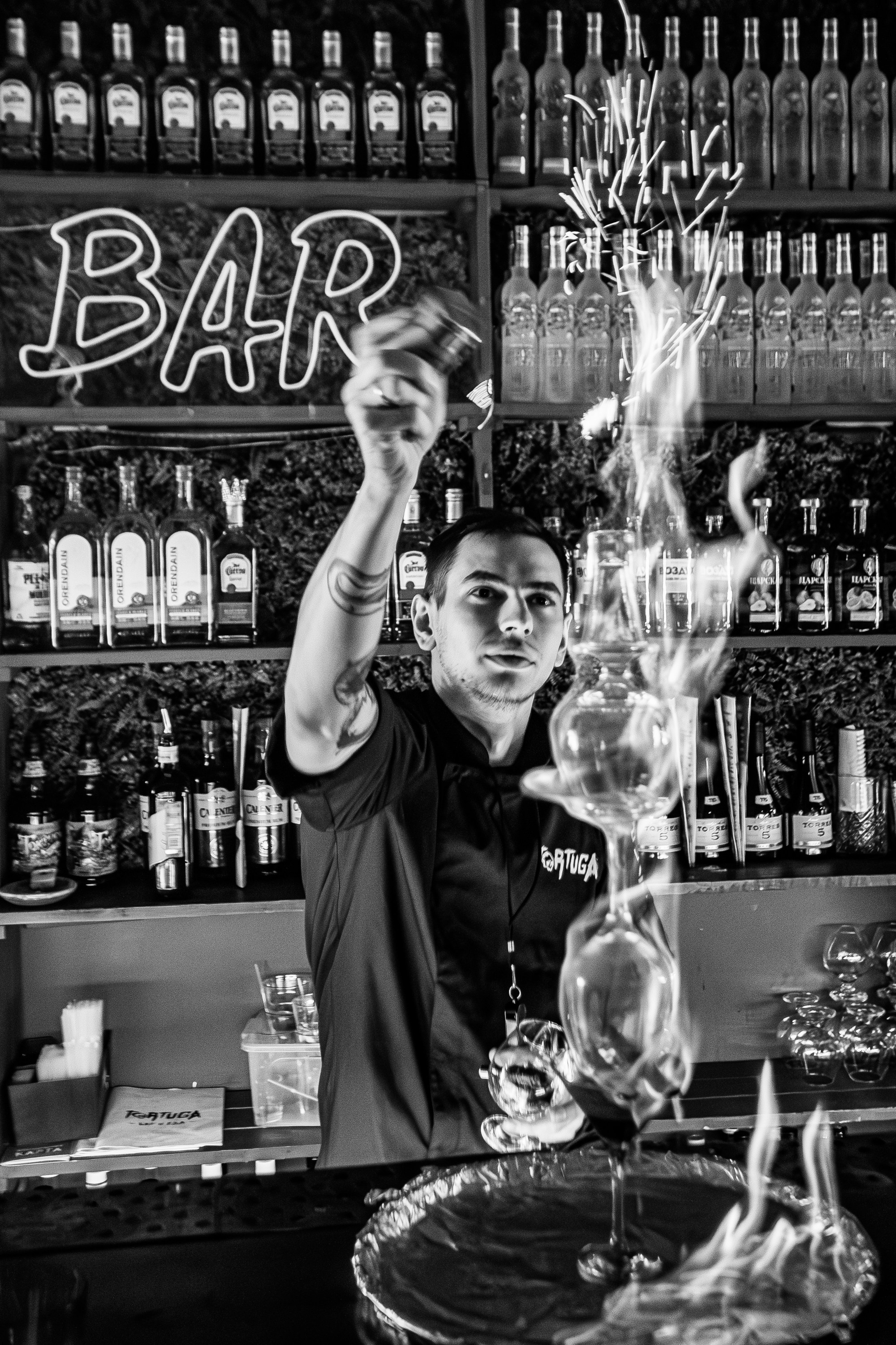 Tortuga_Lambriq_part.1_Симферополь_22.11.2024. Аминов Руслан | Фотограф