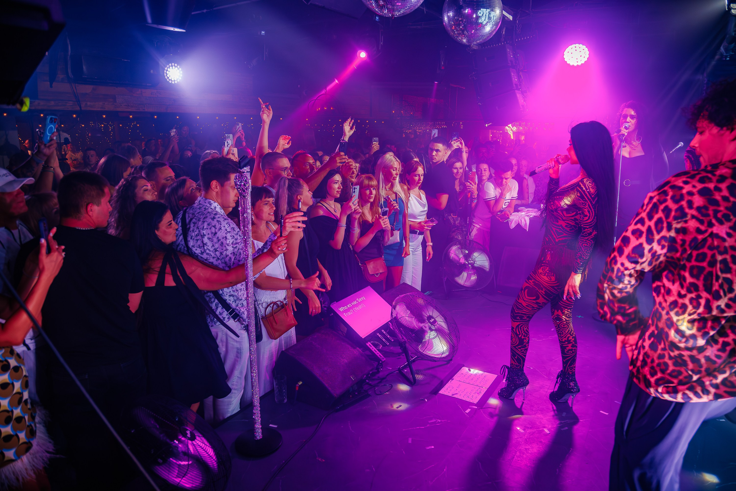 «Бьянка"_Чайка на пляже_Ялта_25.07.2025 г. Аминов Руслан | Фотограф