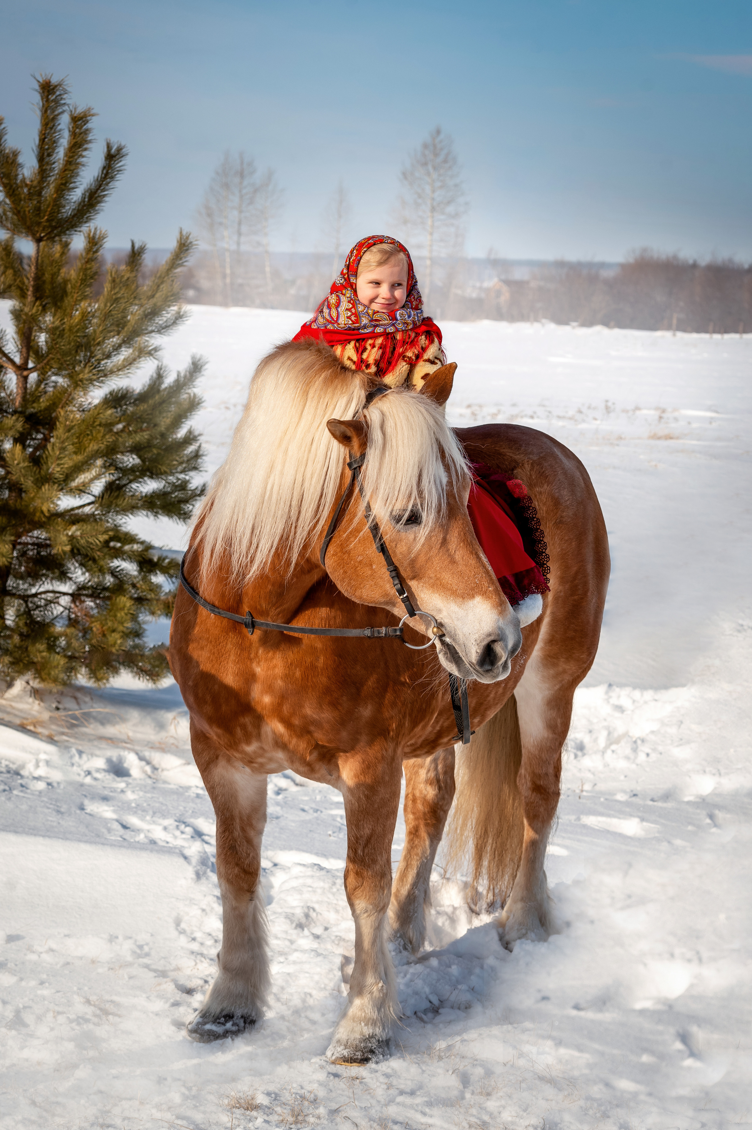 ФОТОДЕНЬ с лошадью. Семейный и детский фотограф в Канске и Канском р-не, Красноярск и