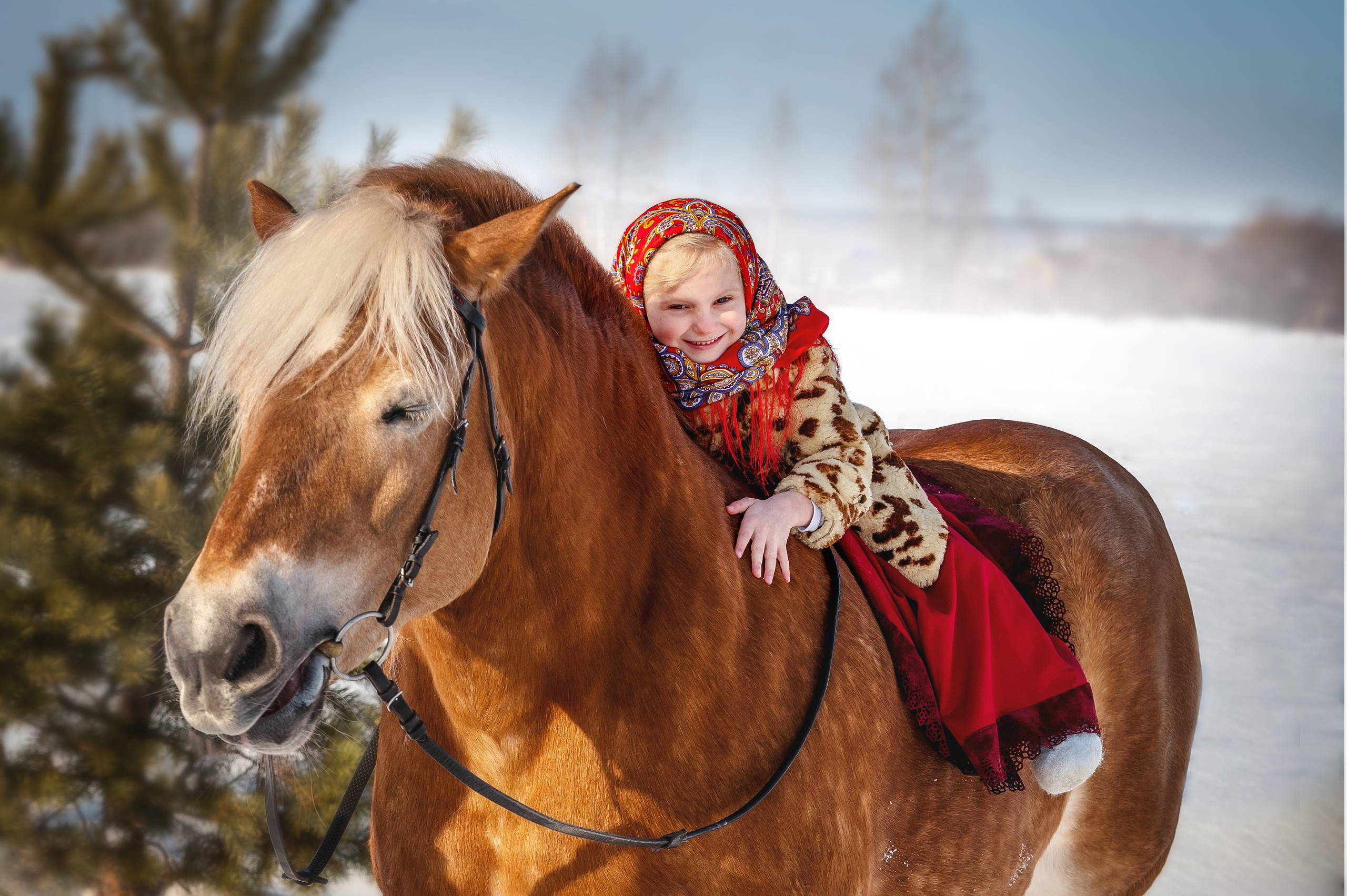 ФОТОДЕНЬ с лошадью. Семейный и детский фотограф в Канске и Канском р-не, Красноярск и