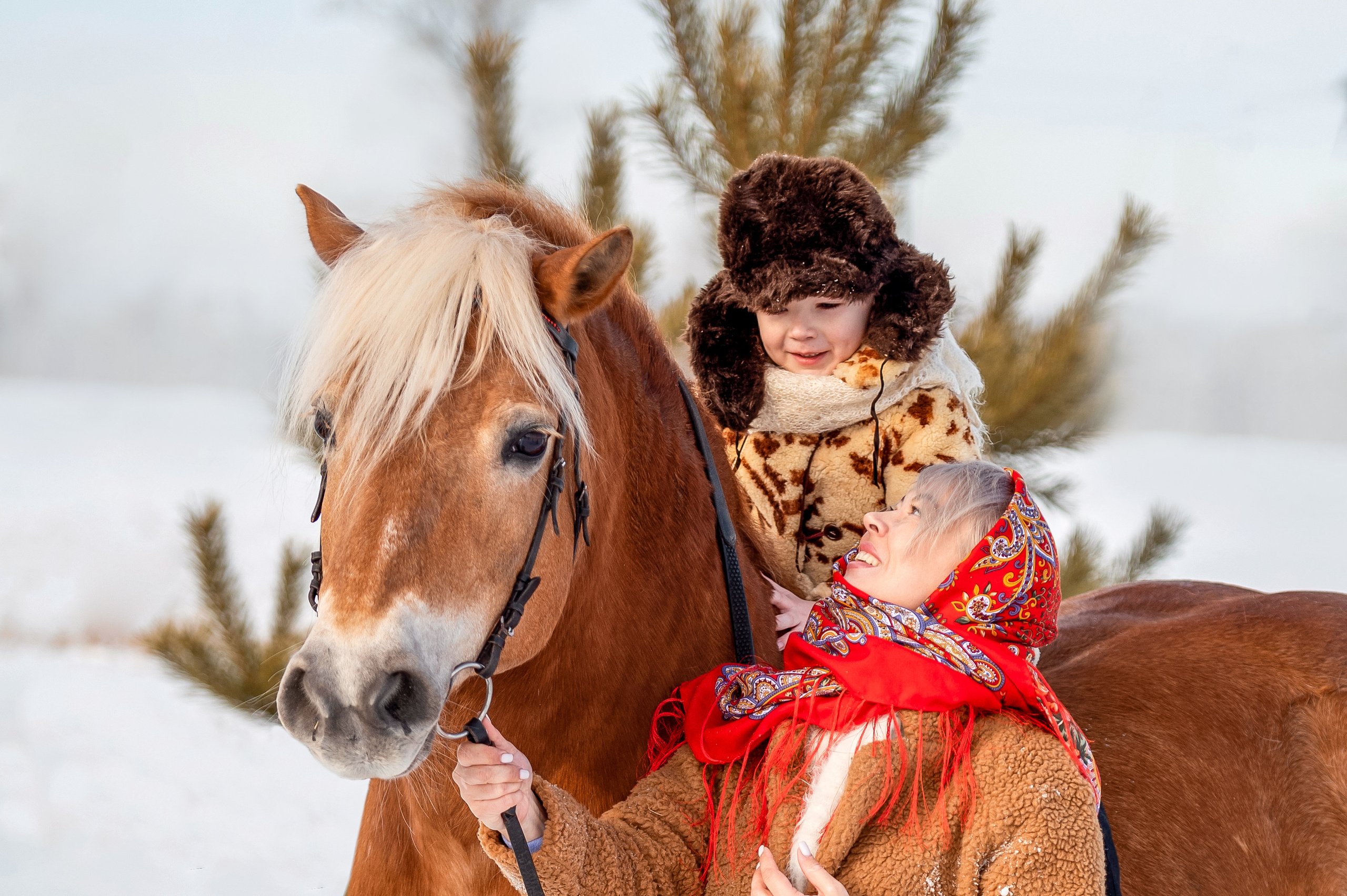 ФОТОДЕНЬ с лошадью. Семейный и детский фотограф в Канске и Канском р-не, Красноярск и