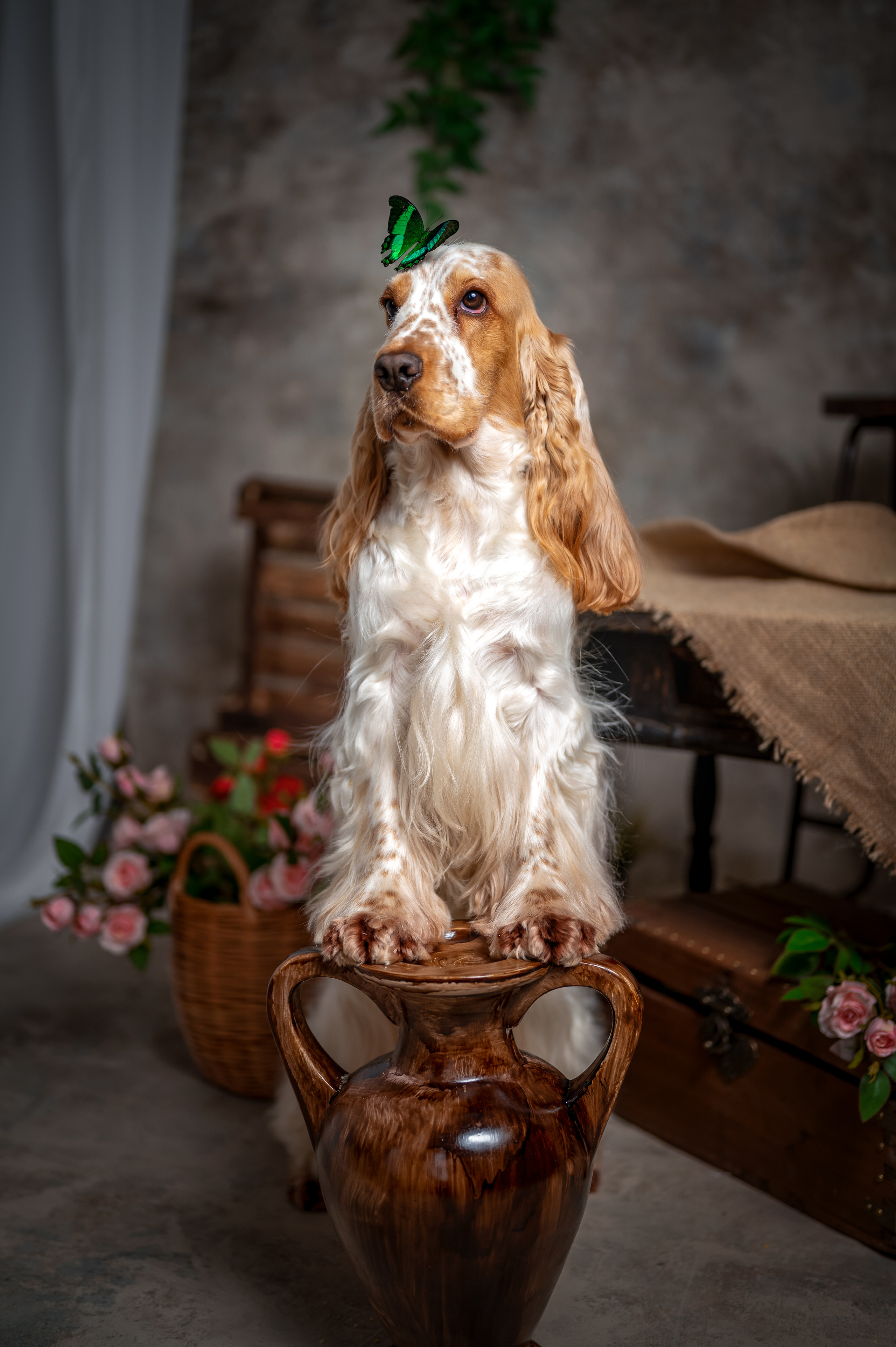 ЧЕДДЕР. Семейный и детский фотограф в Канске и Канском р-не, Красноярск и
