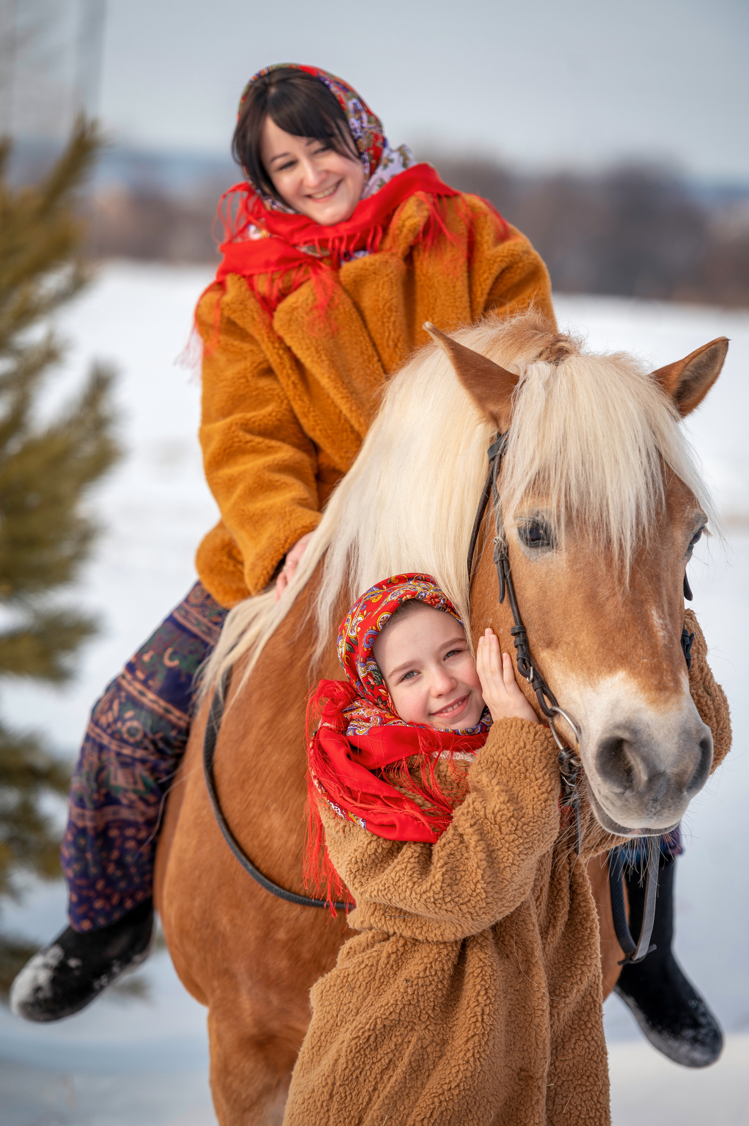 ФОТОДЕНЬ с лошадью. Семейный и детский фотограф в Канске и Канском р-не, Красноярск и