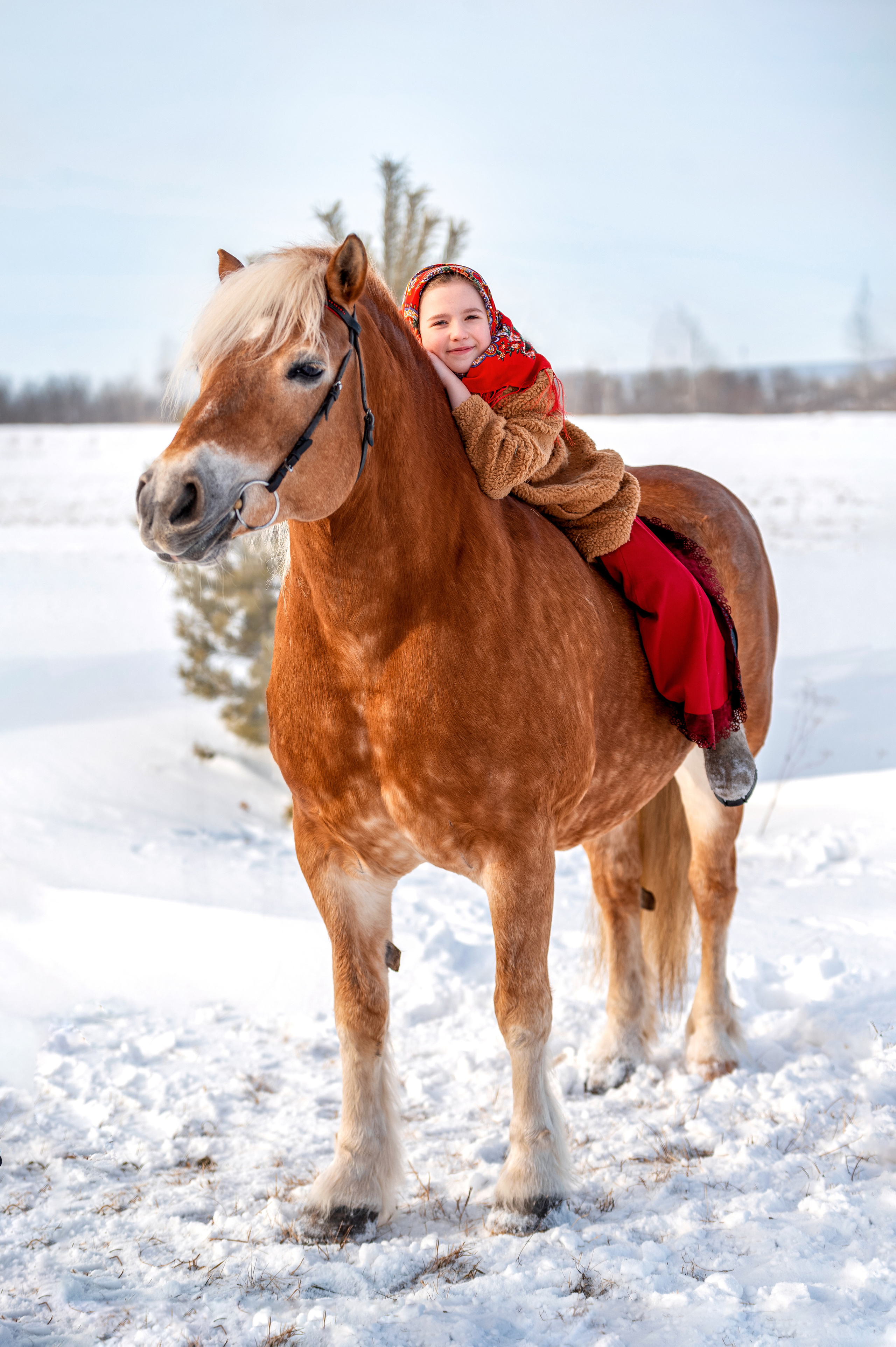 ФОТОДЕНЬ с лошадью. Семейный и детский фотограф в Канске и Канском р-не, Красноярск и