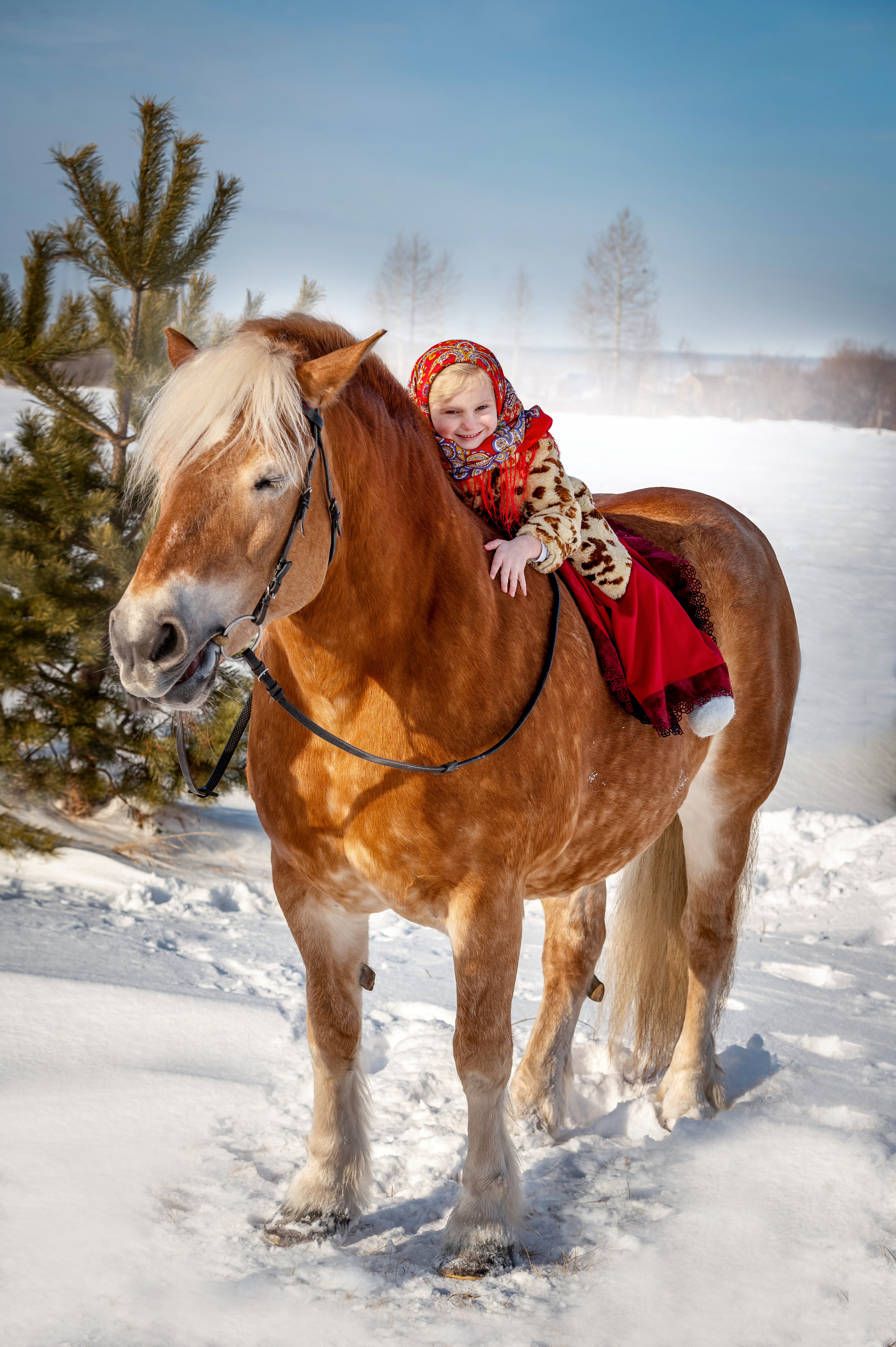 ФОТОДЕНЬ с лошадью. Семейный и детский фотограф в Канске и Канском р-не, Красноярск и