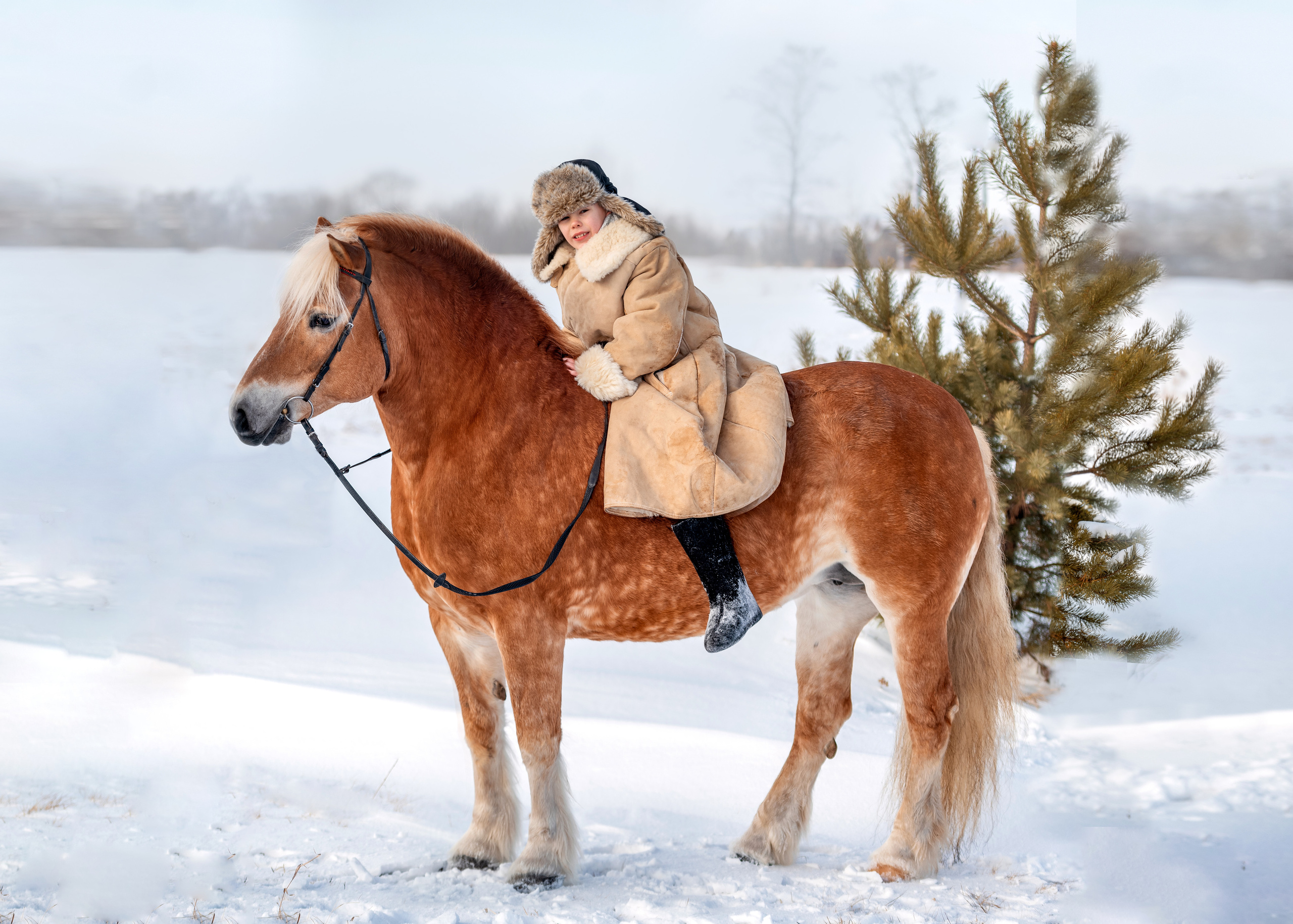 ФОТОДЕНЬ с лошадью. Семейный и детский фотограф в Канске и Канском р-не, Красноярск и