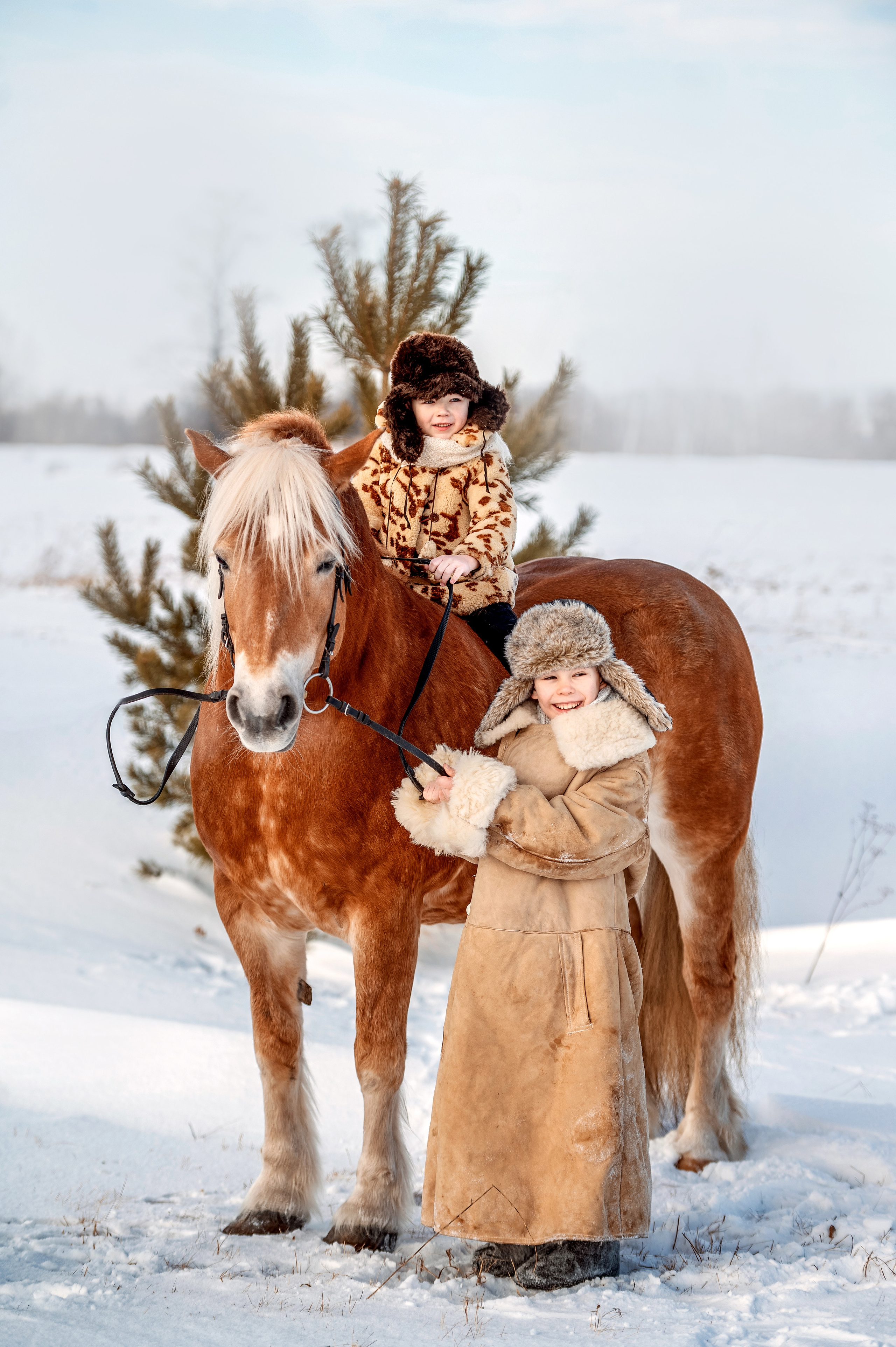 ФОТОДЕНЬ с лошадью. Семейный и детский фотограф в Канске и Канском р-не, Красноярск и