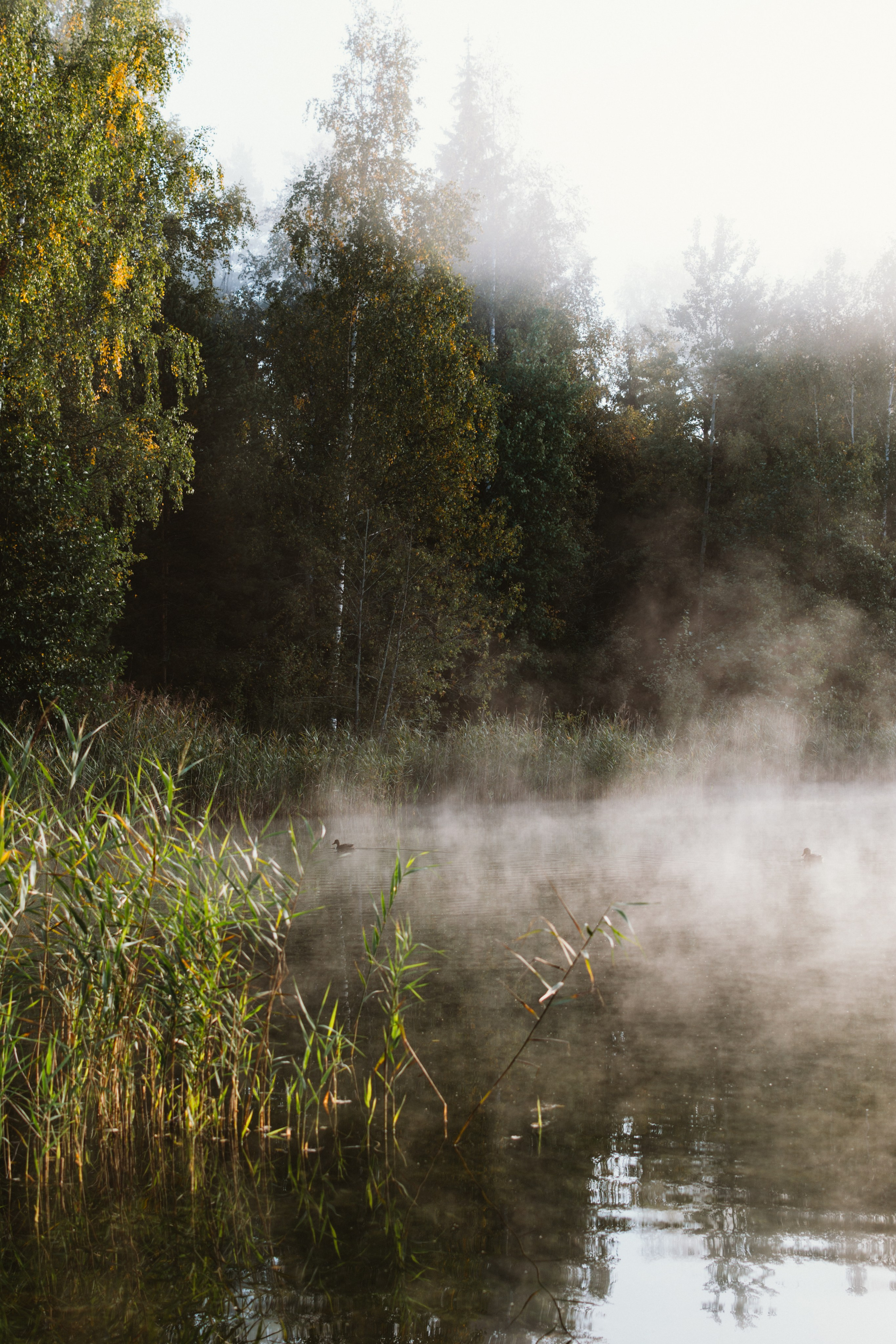 Рассвет на озере с Мариной. Портретный и репортажный Фотограф в Москве Александра Комарницкая