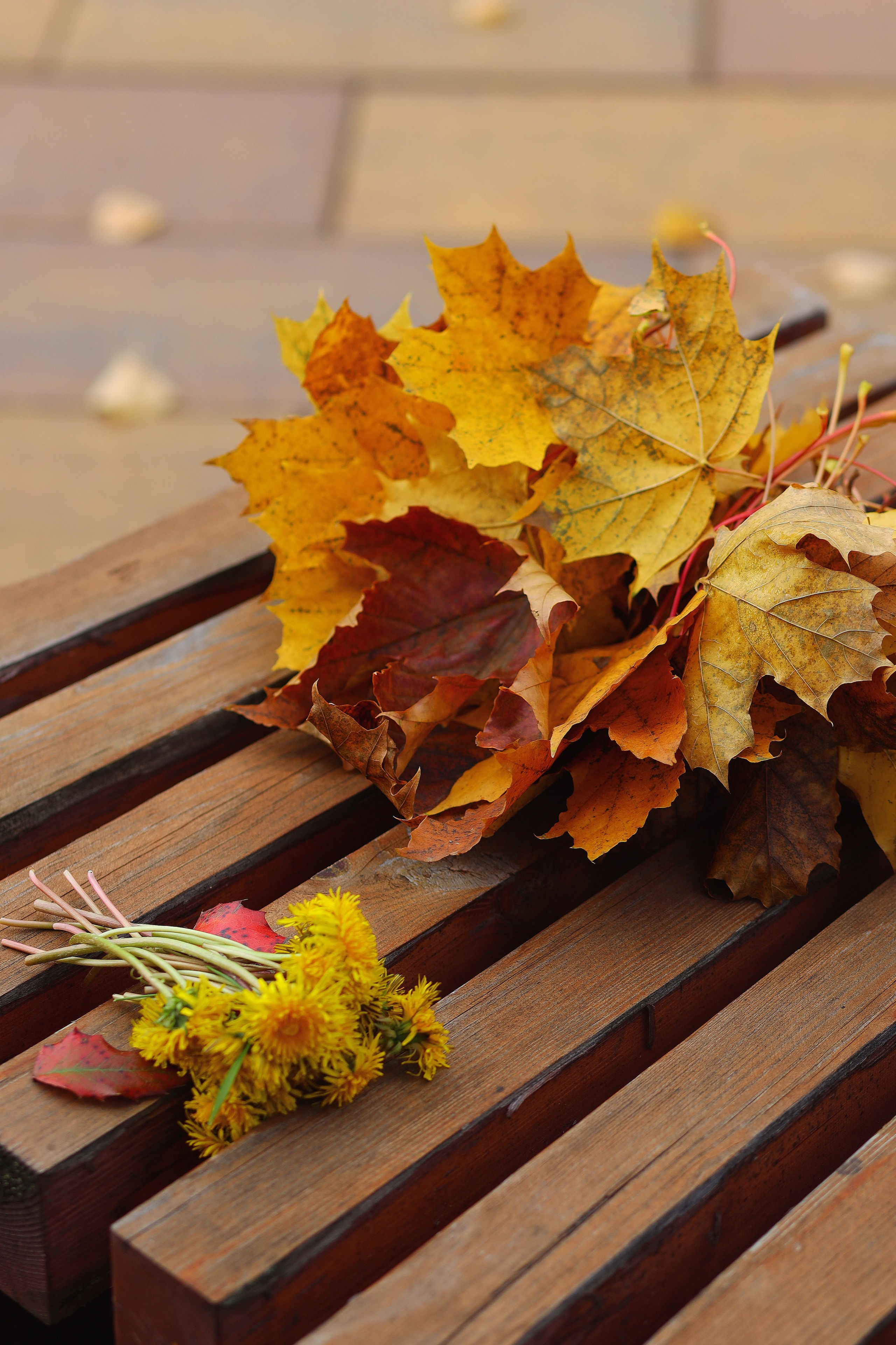 Анастасия и Вероника. Портретный фотограф Москва Виктория Гранд