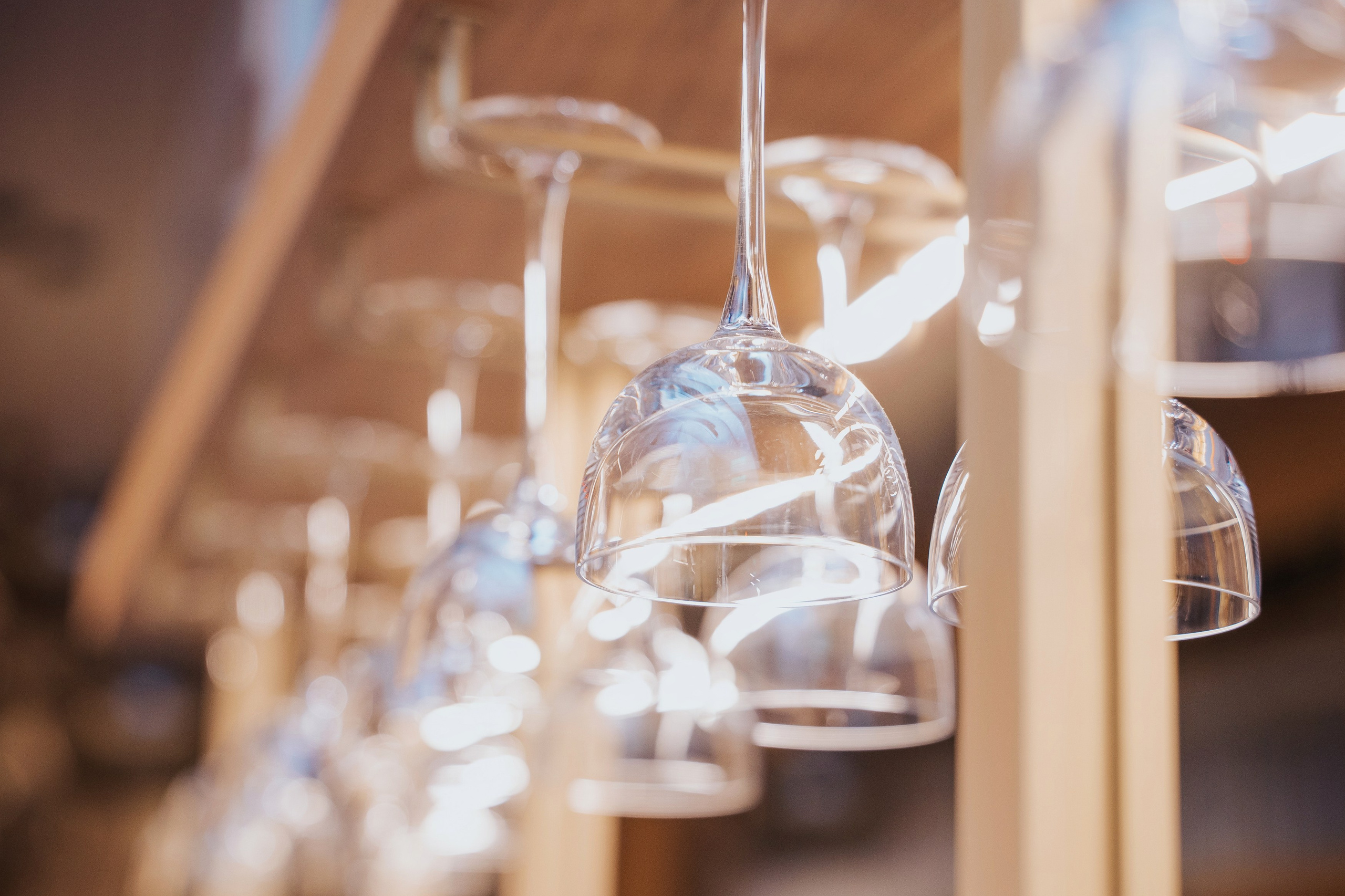 ГАСТРОЛЬНЫЙ УЖИН В MAIN WINE «ИДЕМ НА ВОСТОК. ГОРДИМСЯ ДОСТОЯНИЕМ». СВОИ. ФОТООТЧЕТЫ-СОБЫТИЯ-МЕСТА