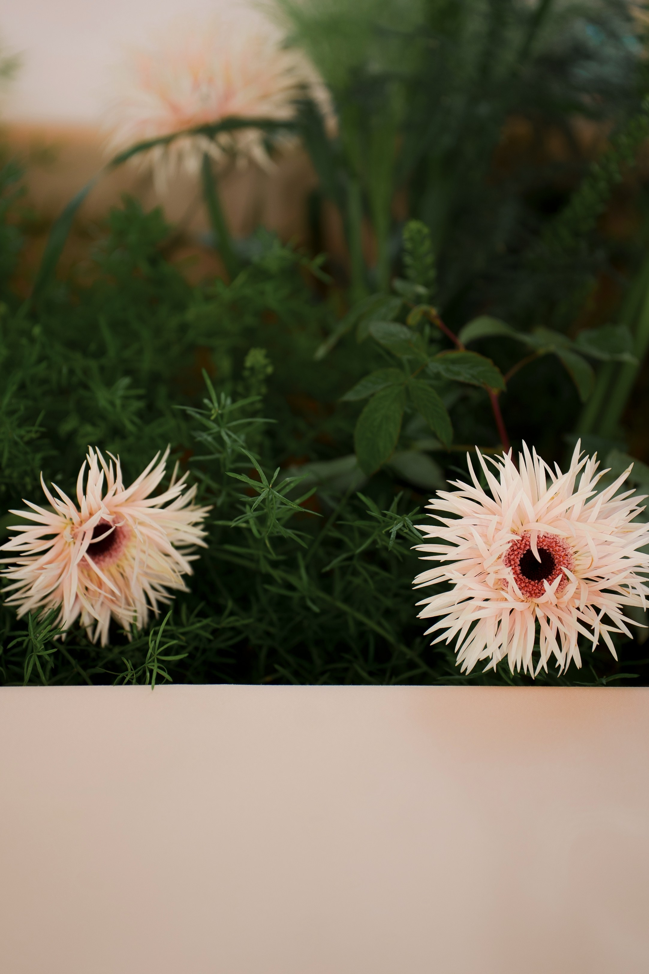 Свадебный фотограф Эрик Геворкян