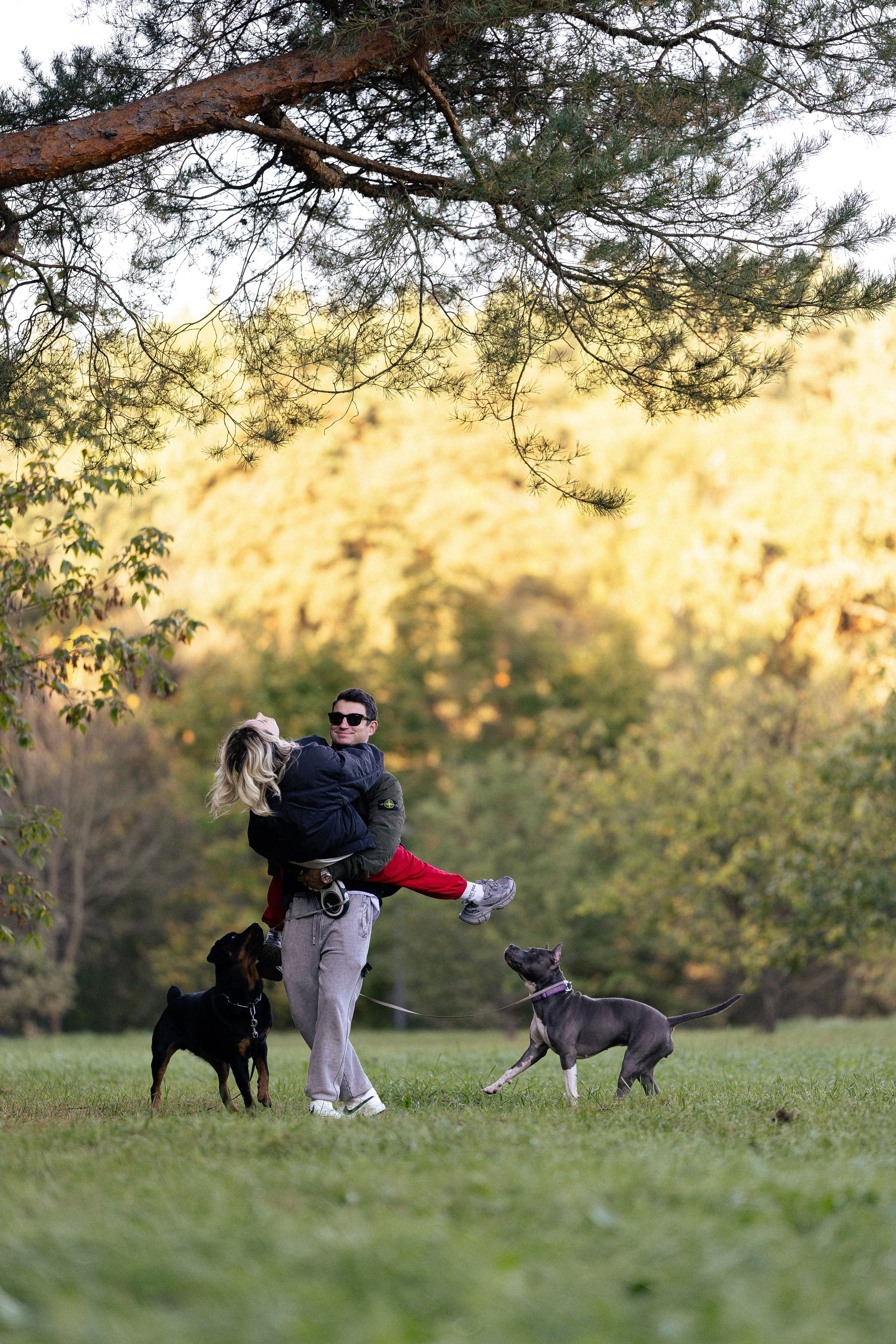 Катя, Леша, Лея и Трой. Фотограф и видеограф анималист Аганина Дарья