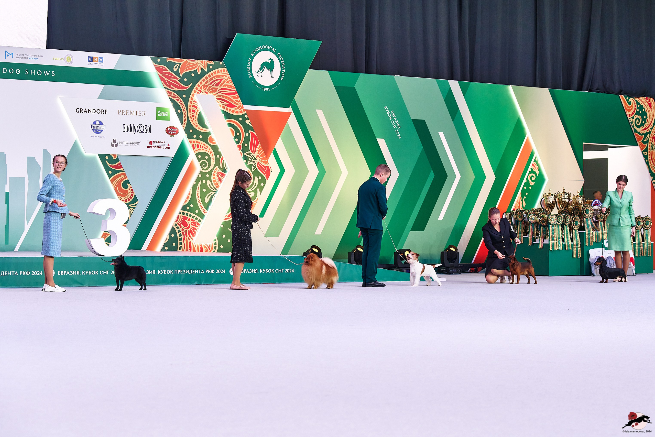 16.11.2024 «ЕВРАЗИЯ. КУБОК ПРЕЗИДЕНТА РКФ 2024»