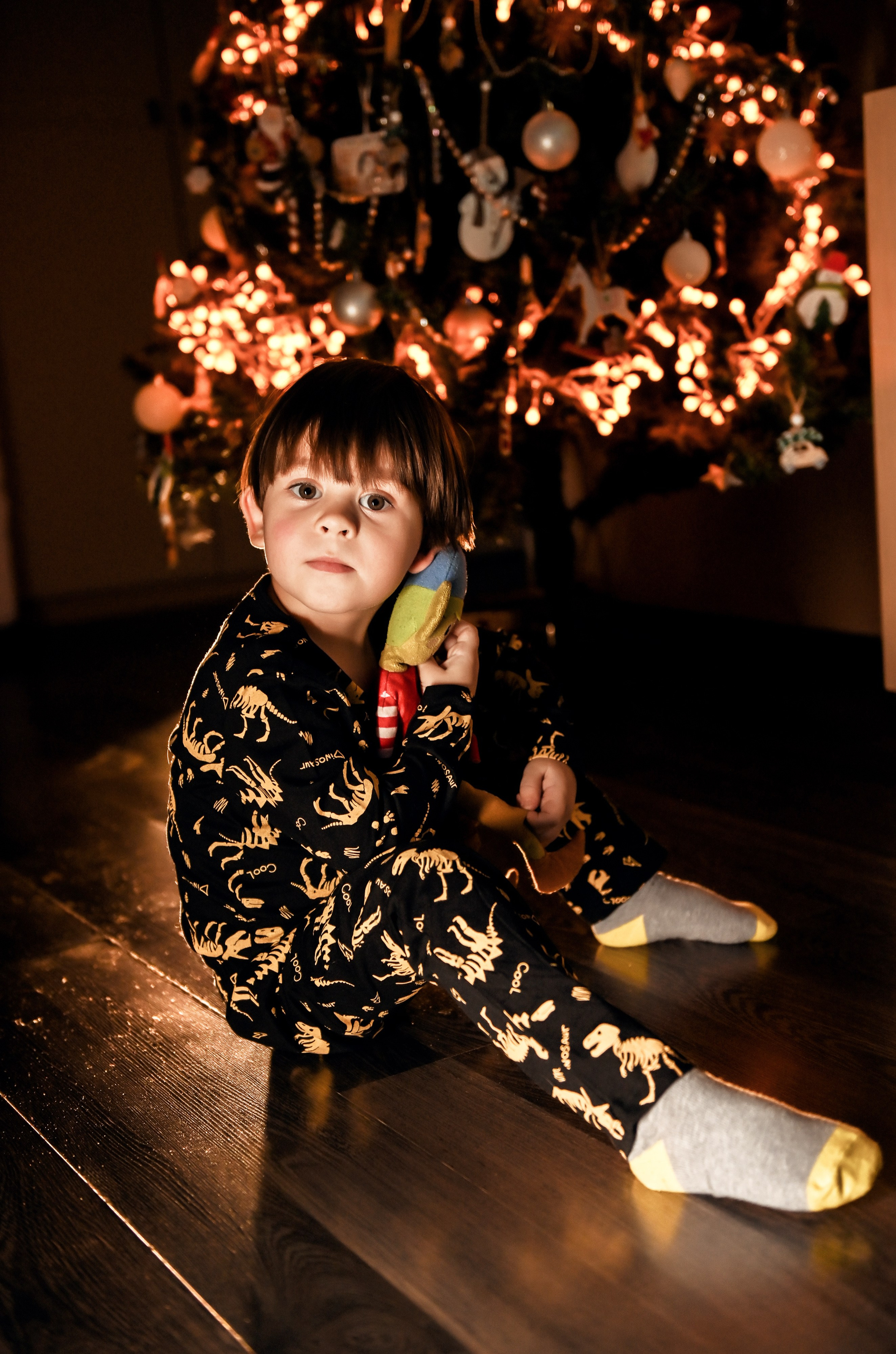 Домашняя новогодняя. Свадебный, семейный, детский, контент фотограф в Омске Максим Ильин