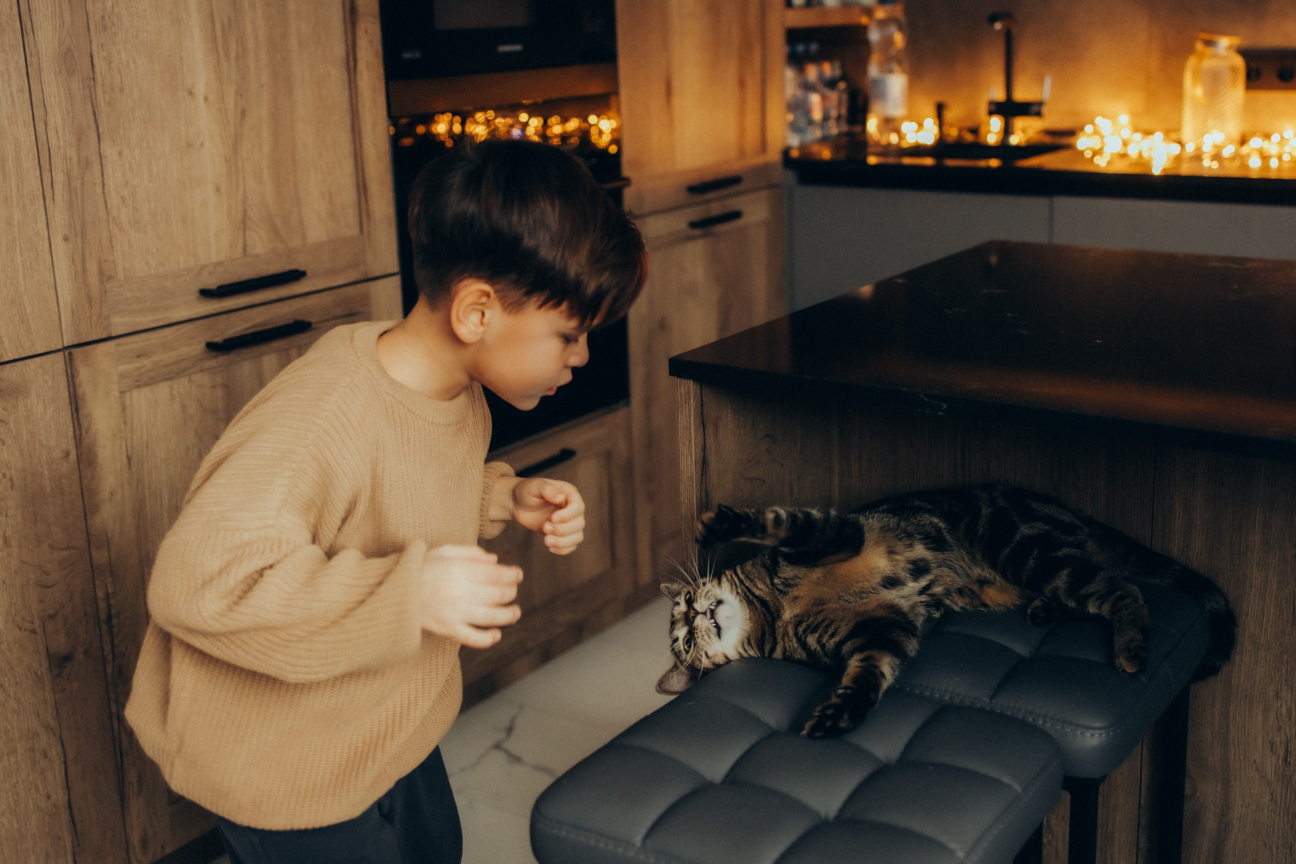 Руслан, Тимур и Луна. Семейный фотограф Москва